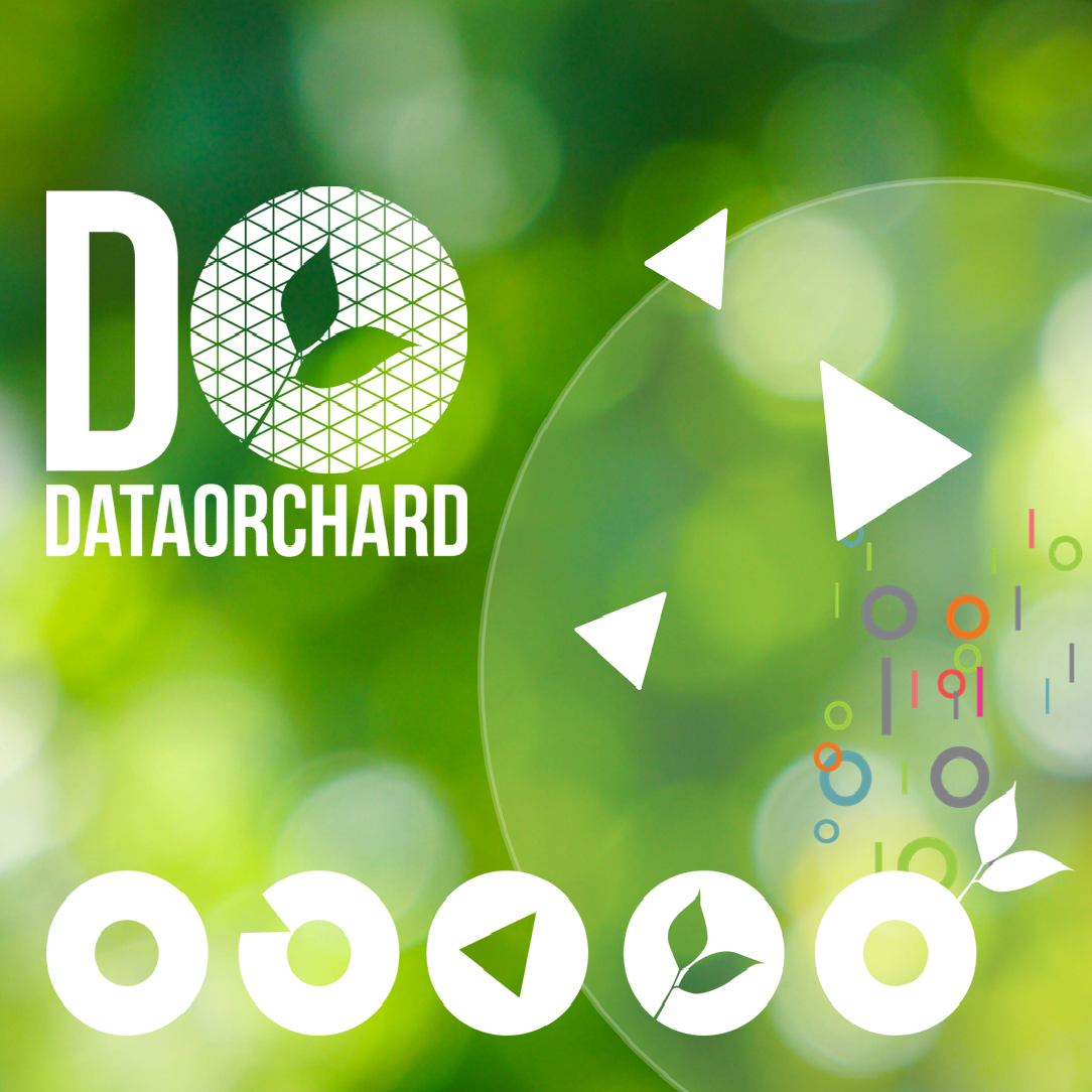 Three reasons why not-for-profits should take a Data Maturity Assessment