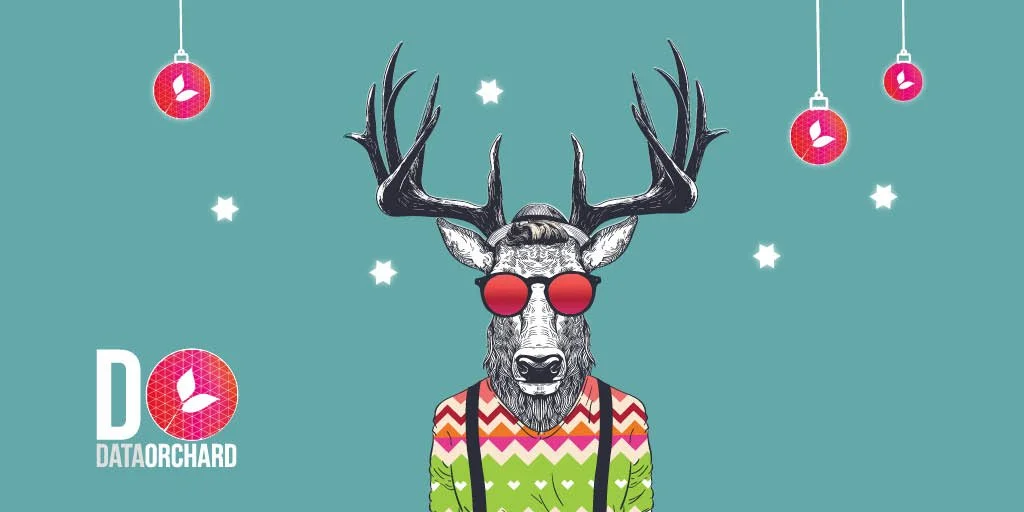 Nonprofit Datafolk Festive Social