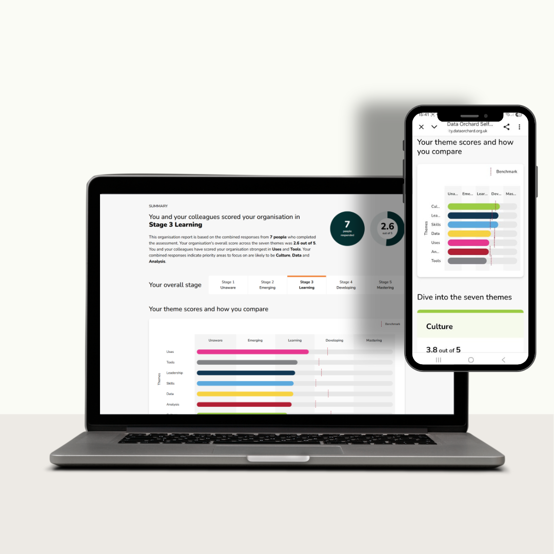 A new improved Data Maturity Assessment