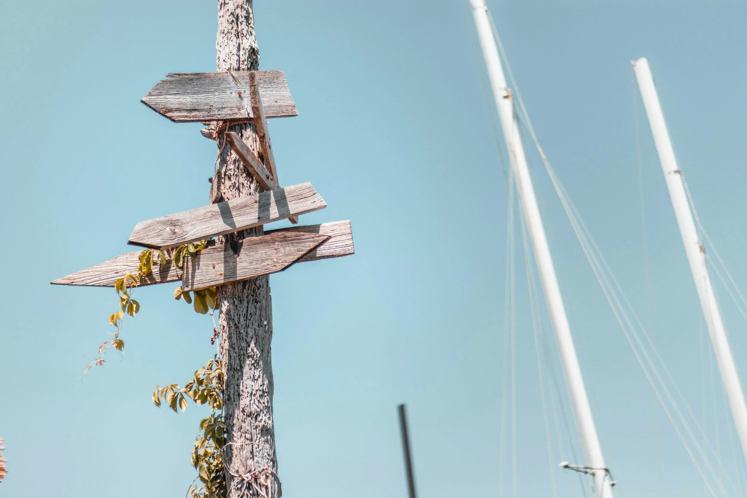 Supporting Farleigh Hospice to develop a data strategy