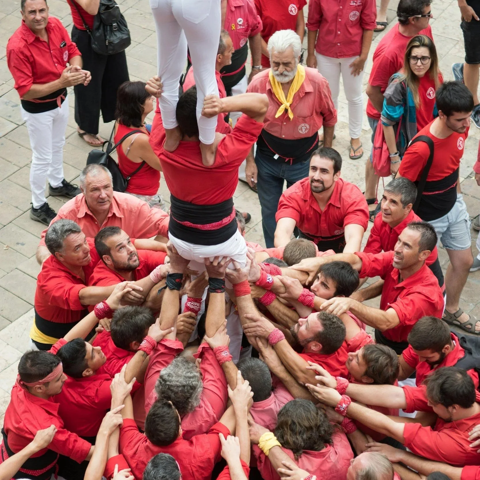Diving into Building Data Culture