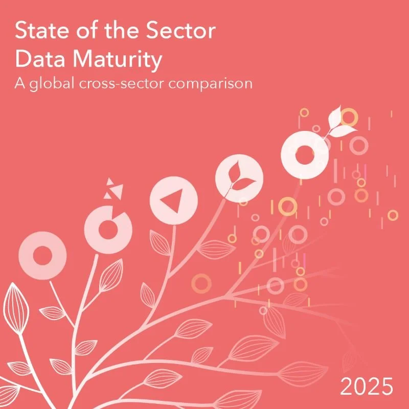 State of the Sector Data Maturity 2025 cover image