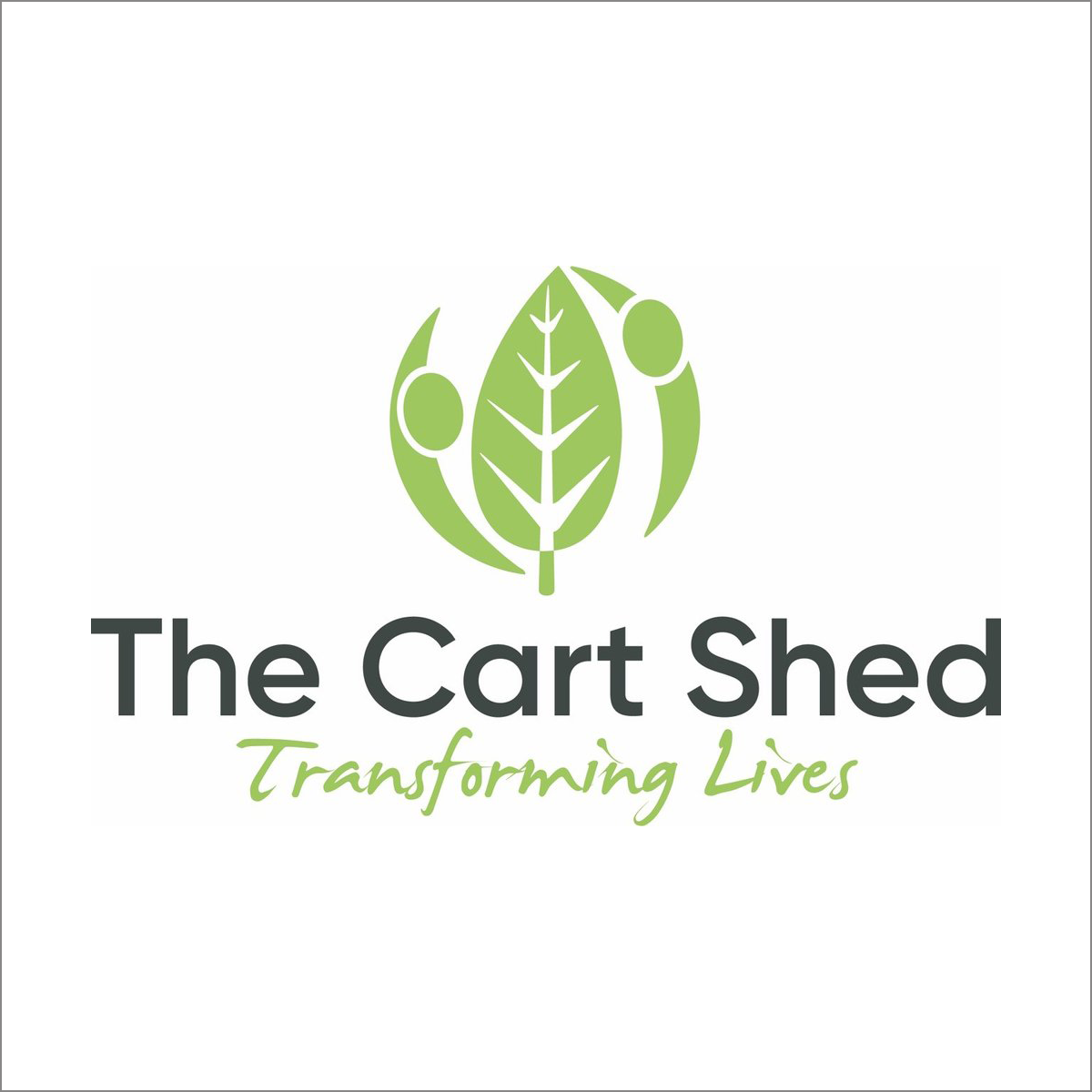 Data Maturity Assessment tool — Data Orchard