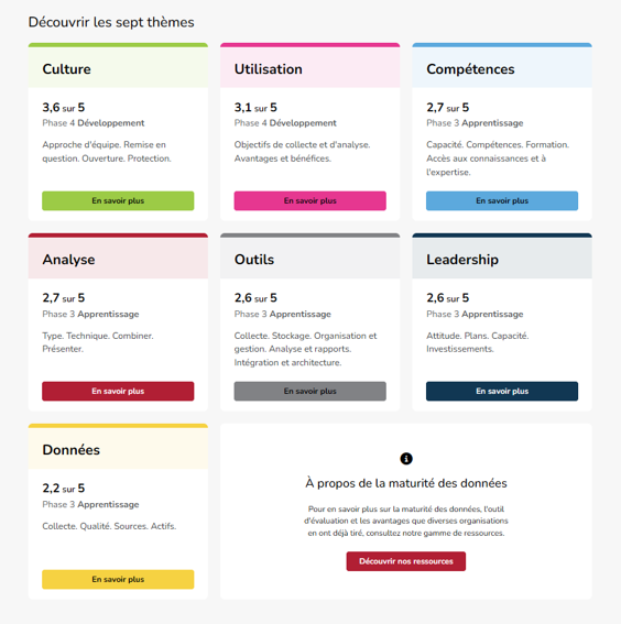 Data maturity assessment results screen in French - showing a breakdown by theme