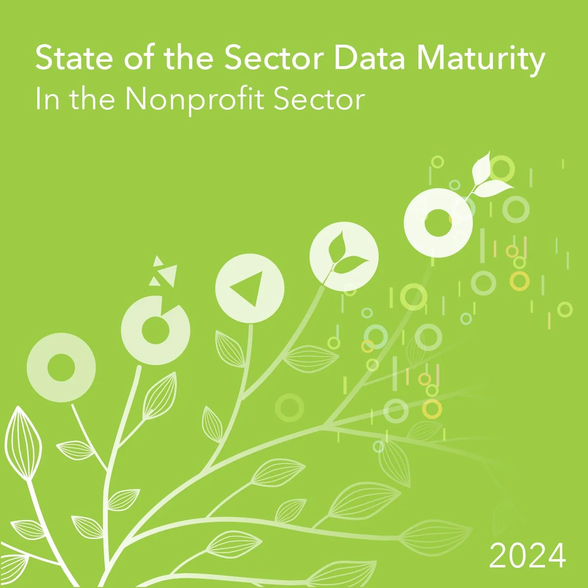 State of the Sector: Data Maturity in the Nonprofit Sector 2024