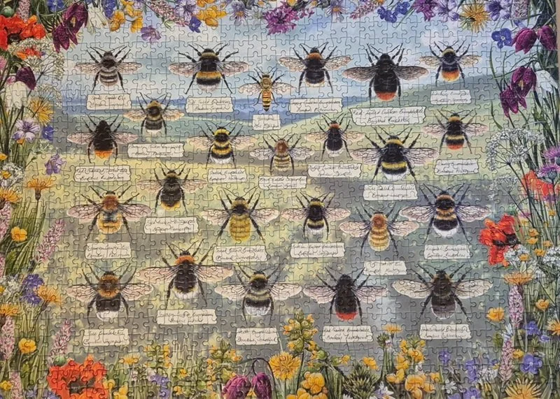 Picture of a jigsaw of bees
