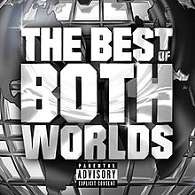 Jay-Z & R. Kelly - The Best Of Both Worlds.jpg