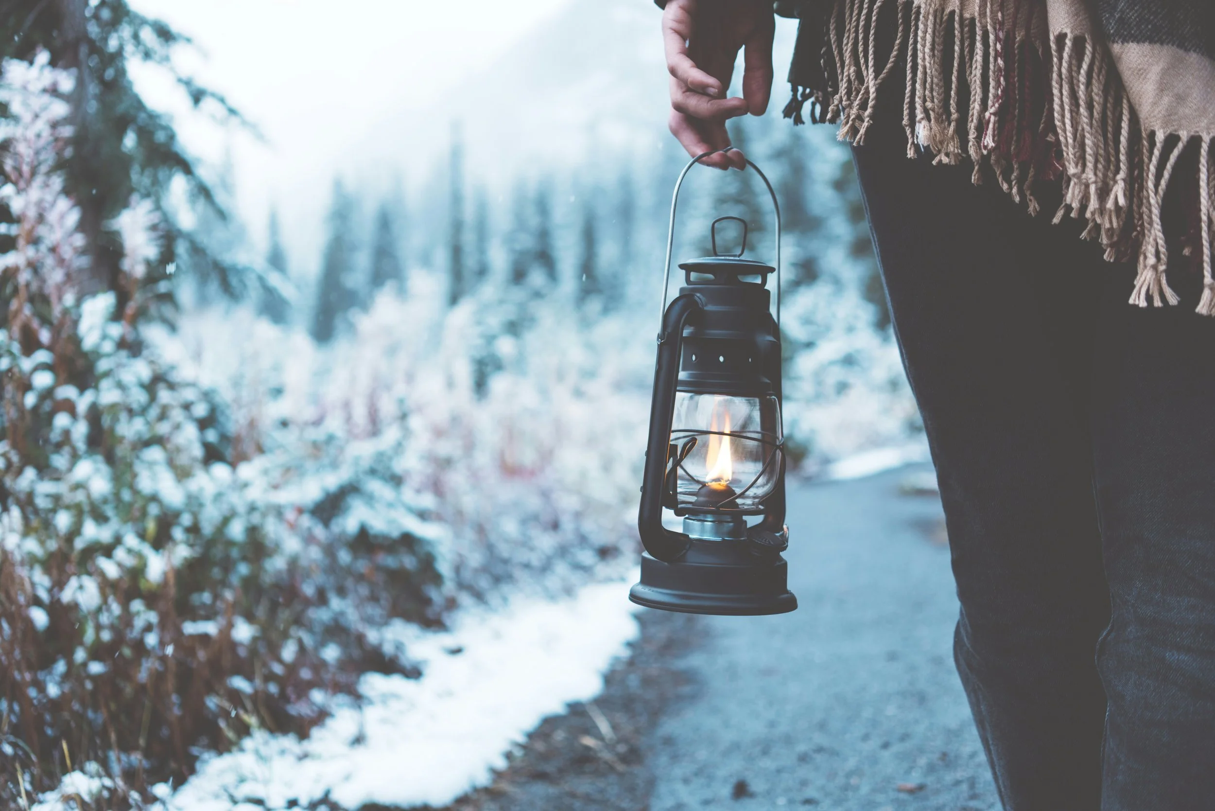 getty-images-dzSXAYLLxfg-unsplash.jpg