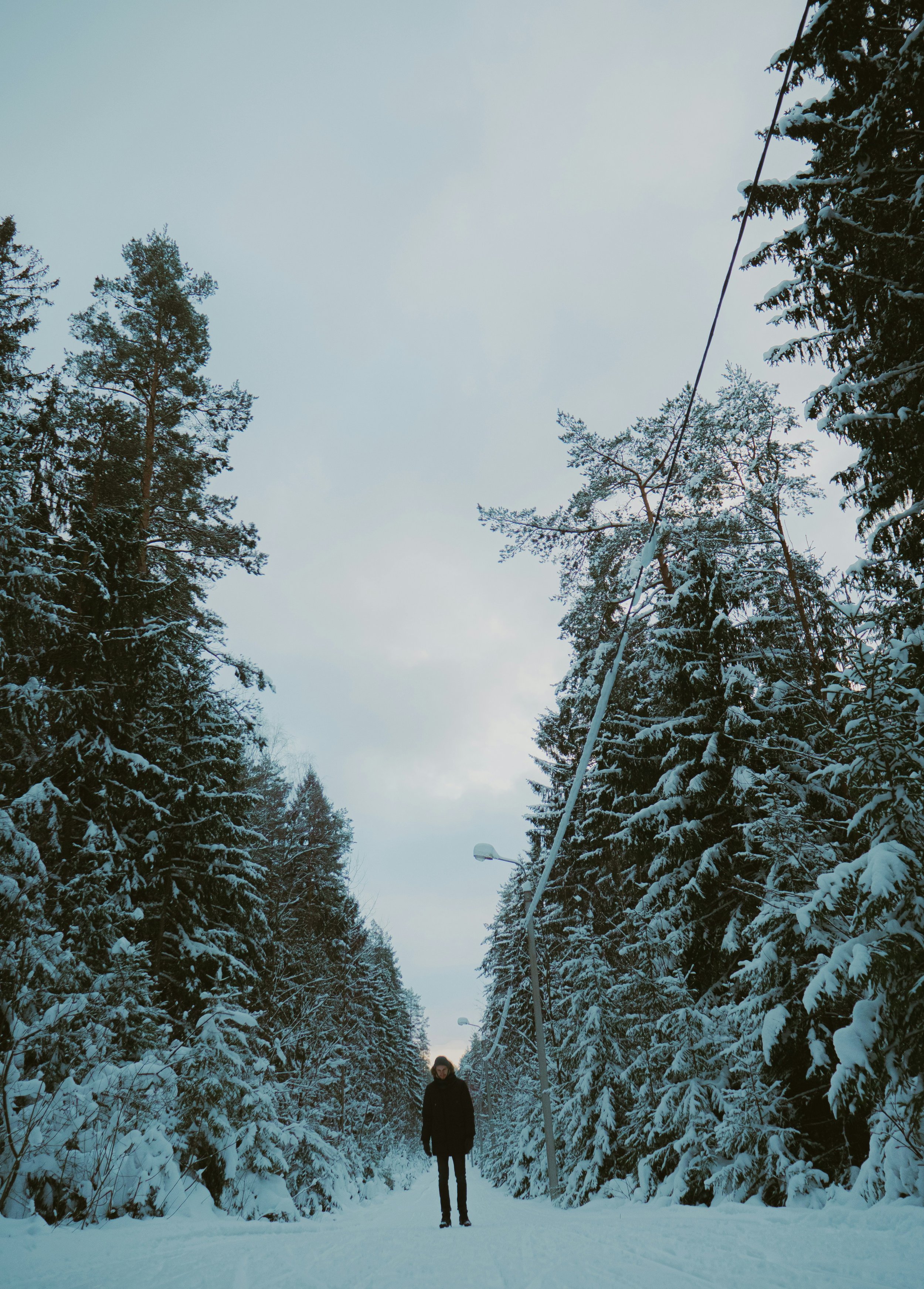 hanna-lazar-kHyyLWySjaY-unsplash.jpg