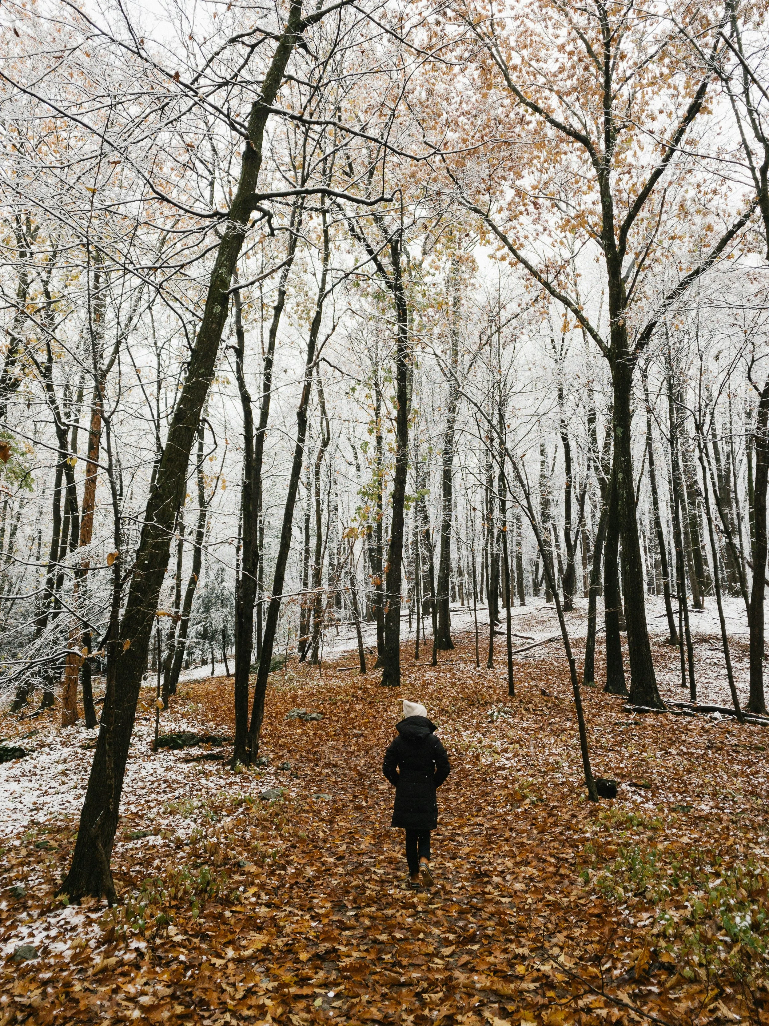 robert-bye-Wg4fi8kgb4Y-unsplash.jpg