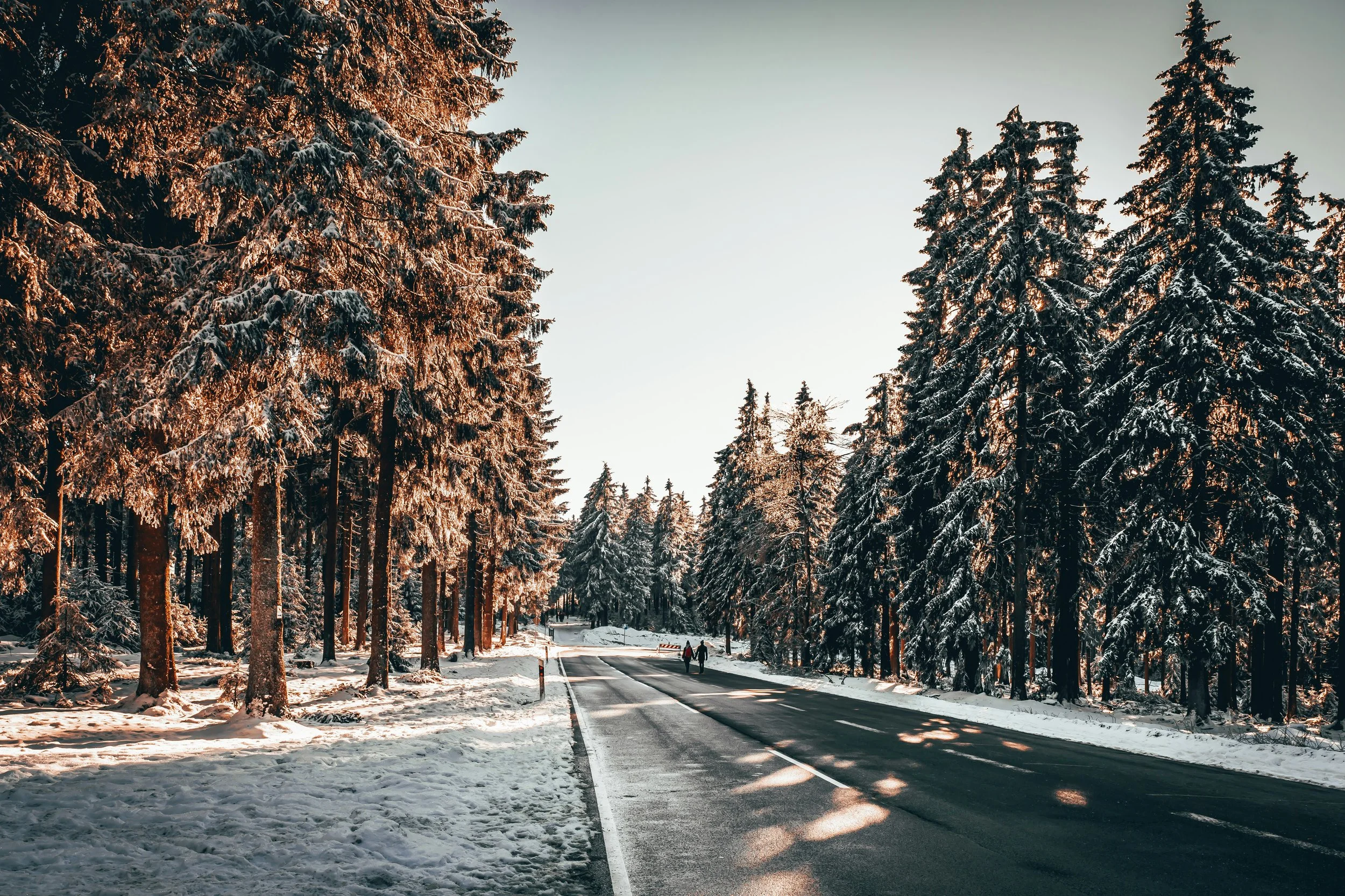 raja-sen-QZflWyNLIww-unsplash.jpg