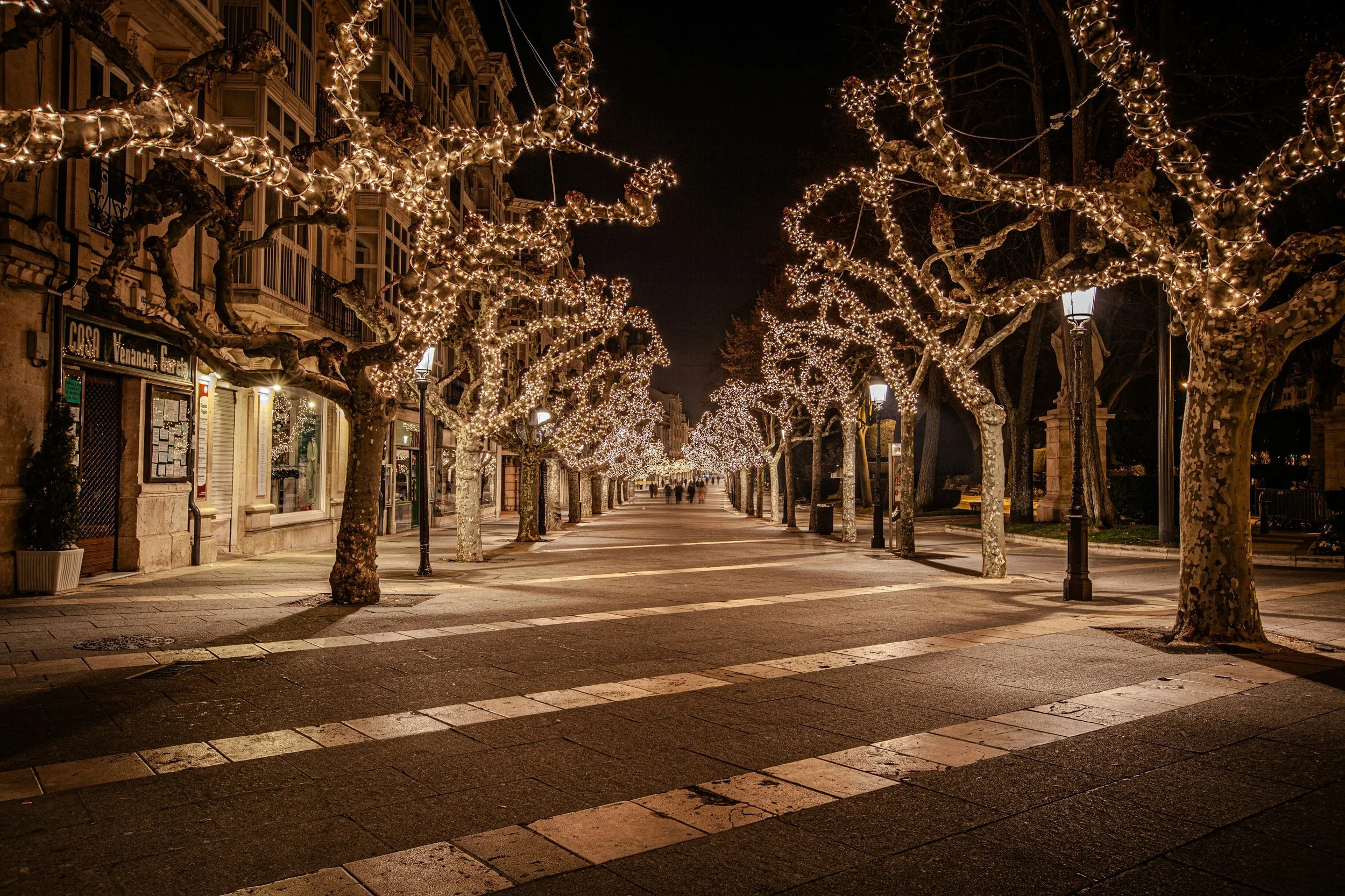 mario-la-pergola-sFNIhbhaHu4-unsplash.jpg