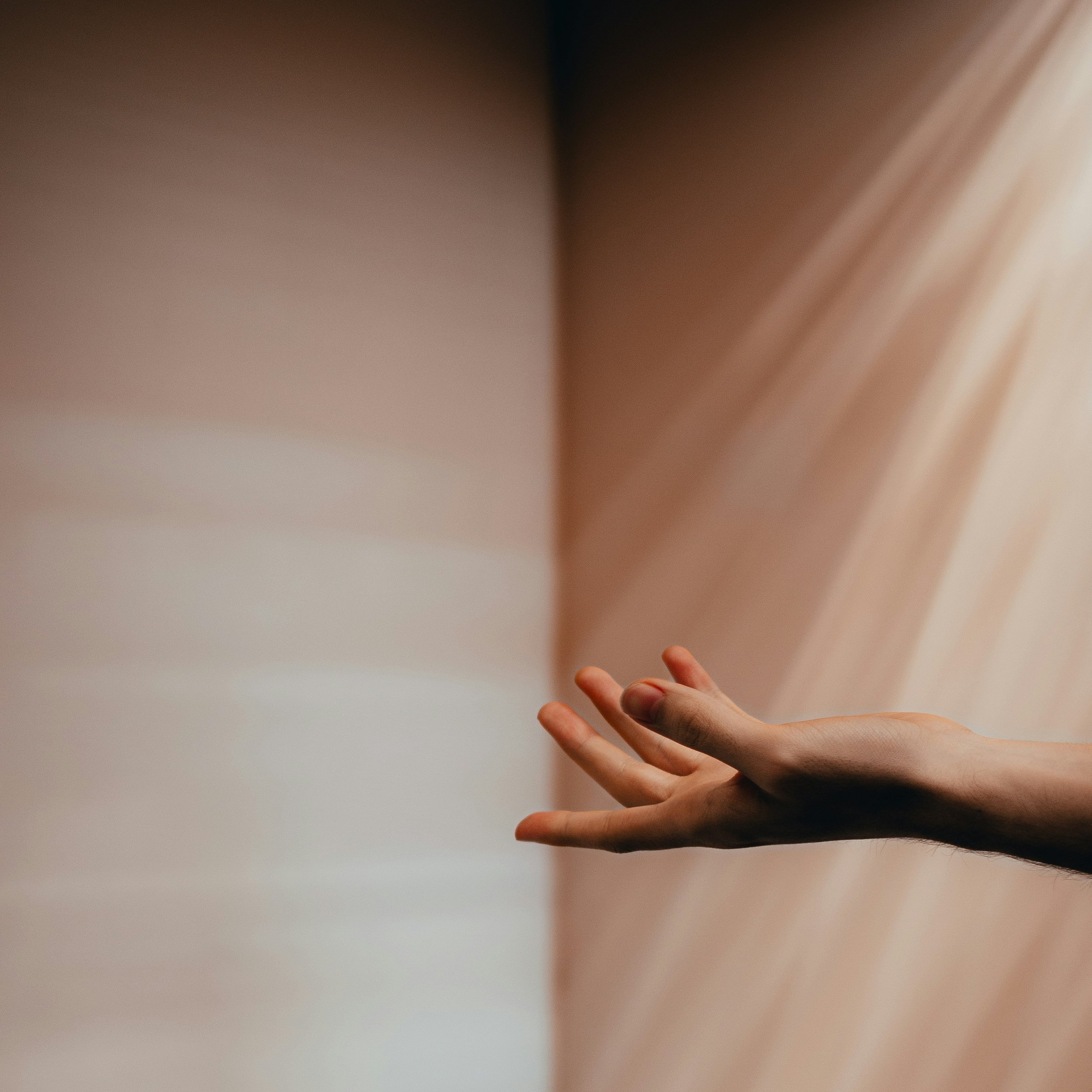 ramiro-pianarosa-LaIiSDG2cNs-unsplash.jpg