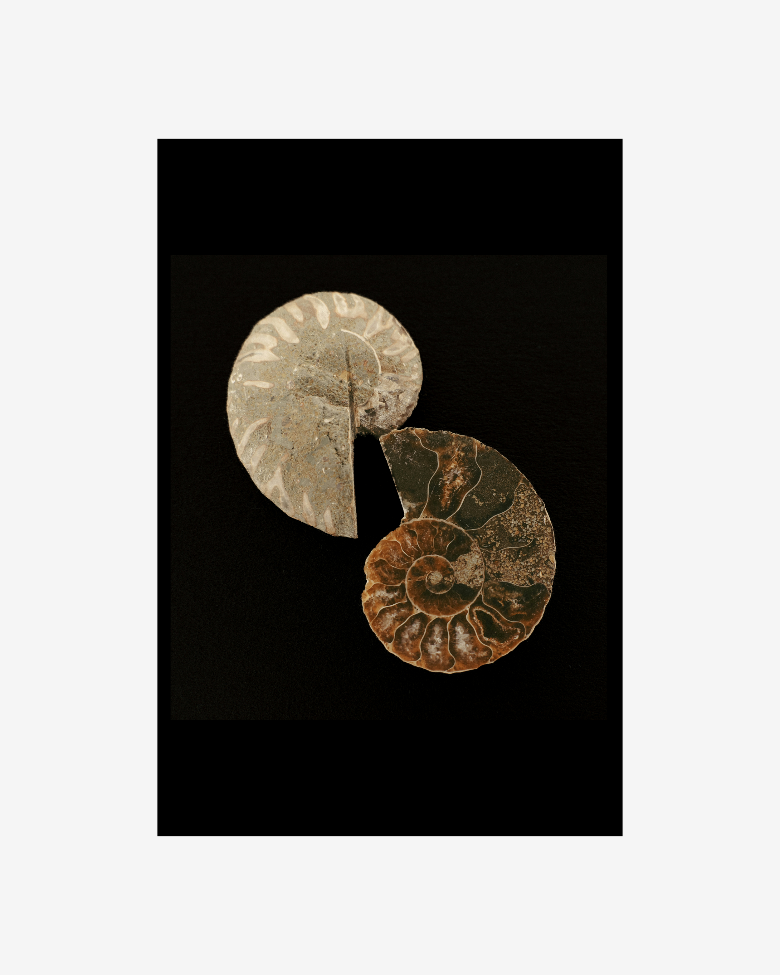 L&S - Energetic Balance - Images II.png