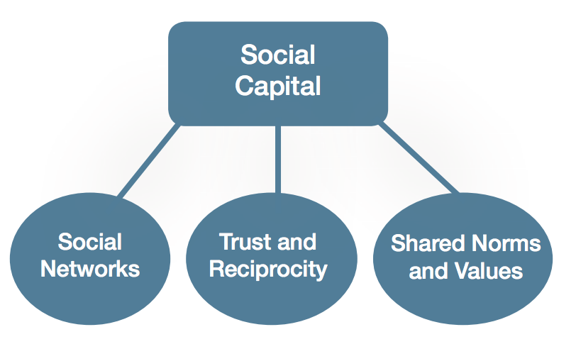FIGURE: THREE DIMENSIONS OF SOCIAL CAPITAL