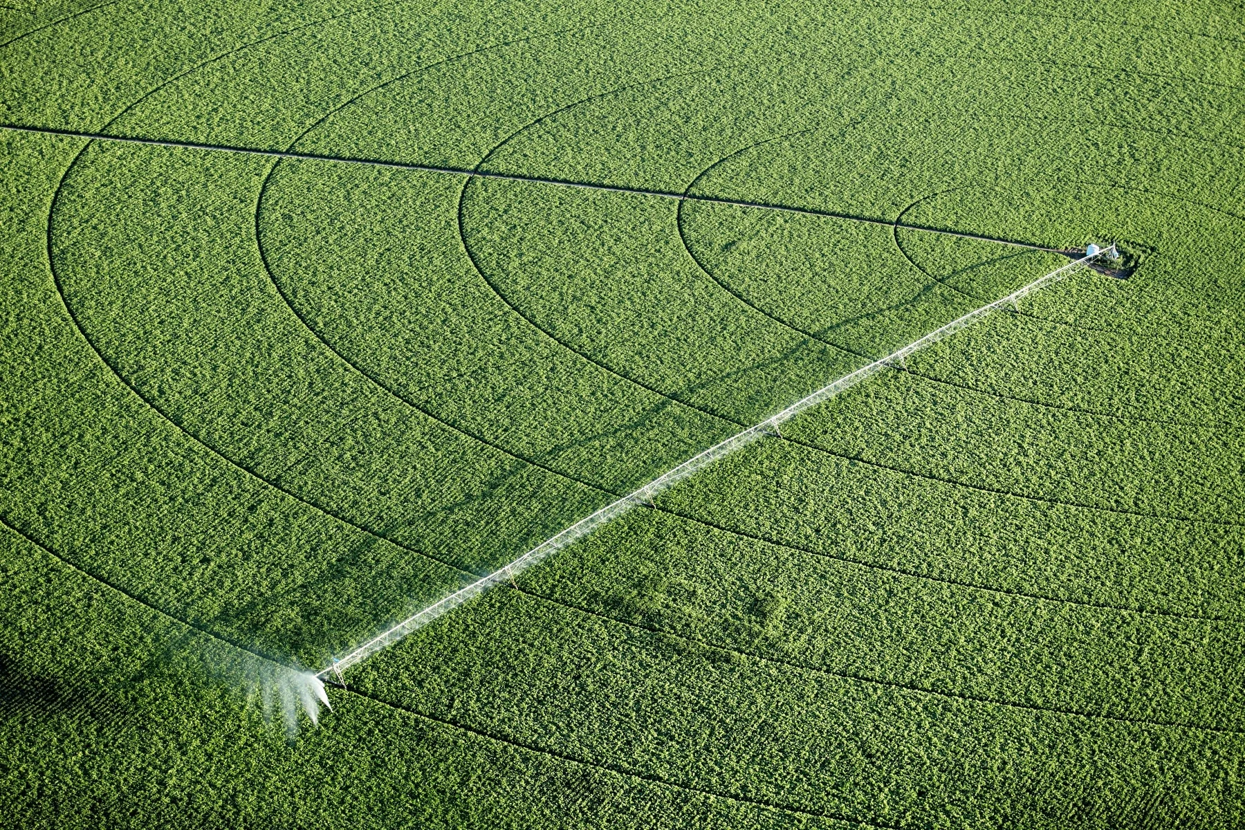 potato-irrigation-farming-205891729.jpg