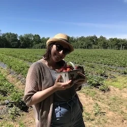 Foraging for strawberries