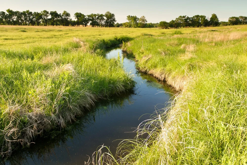 small-river.jpg
