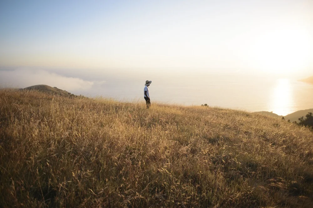 field-919082.jpg