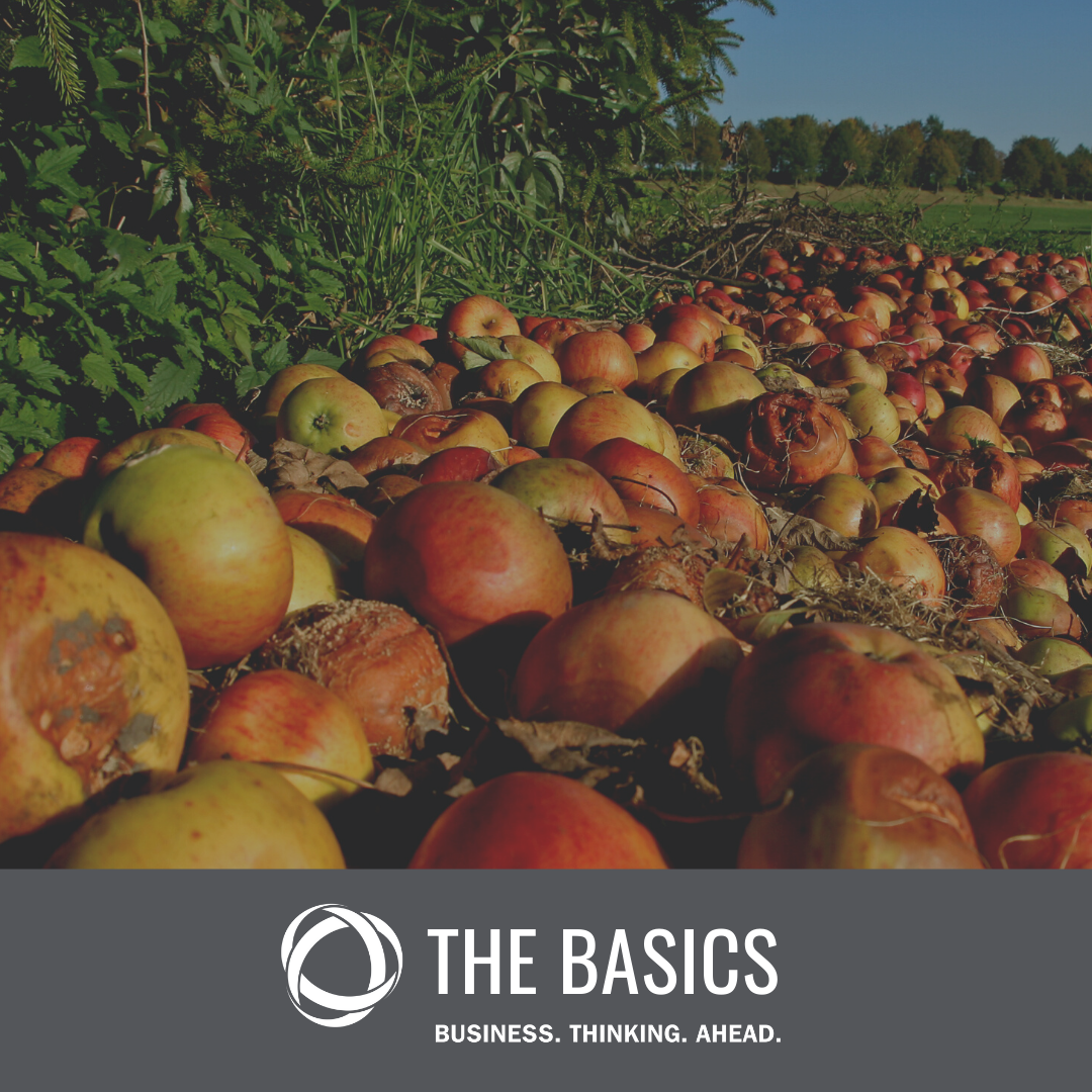 Innovative Solutions to Food Waste