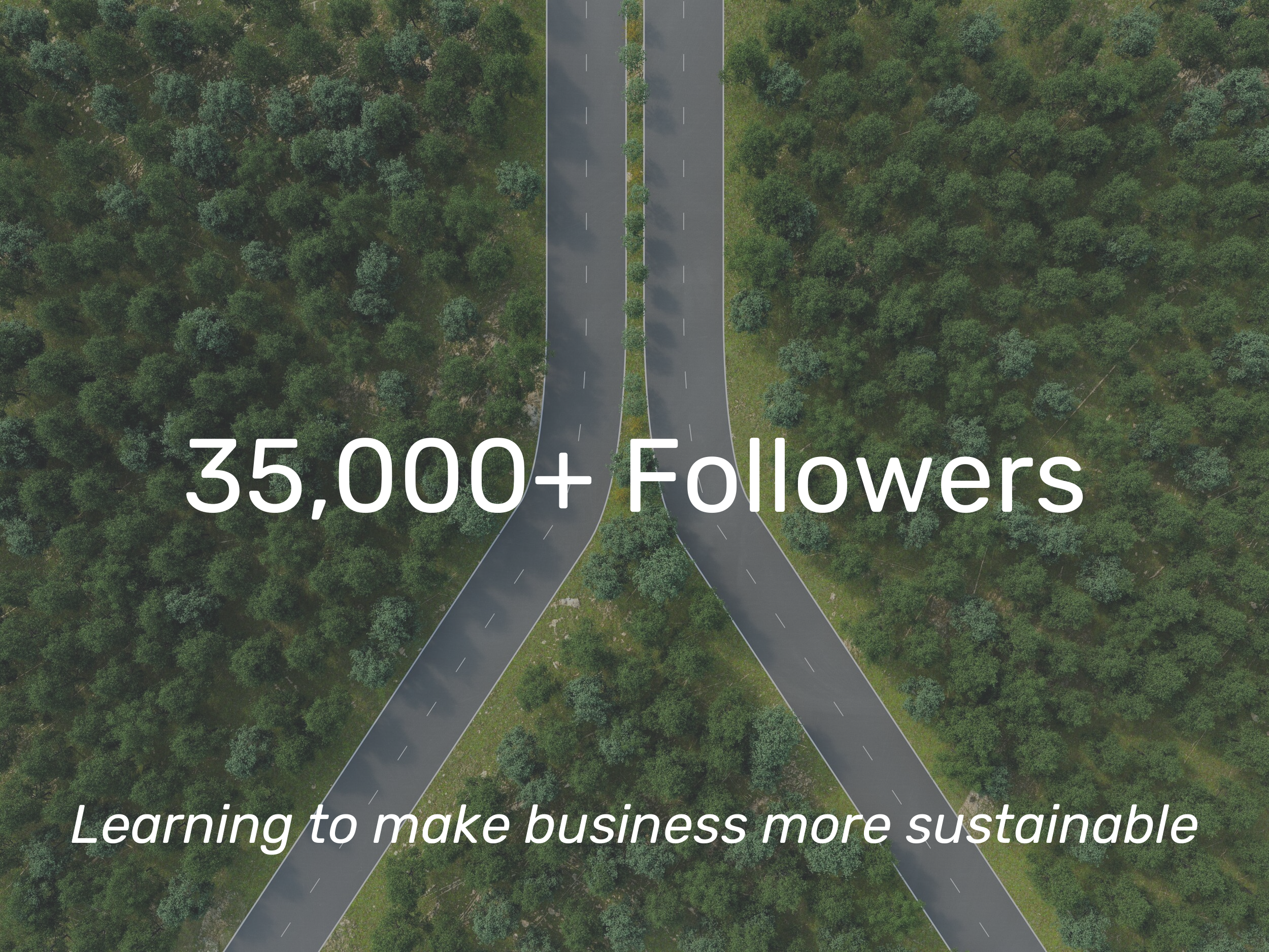 nbs data website.png