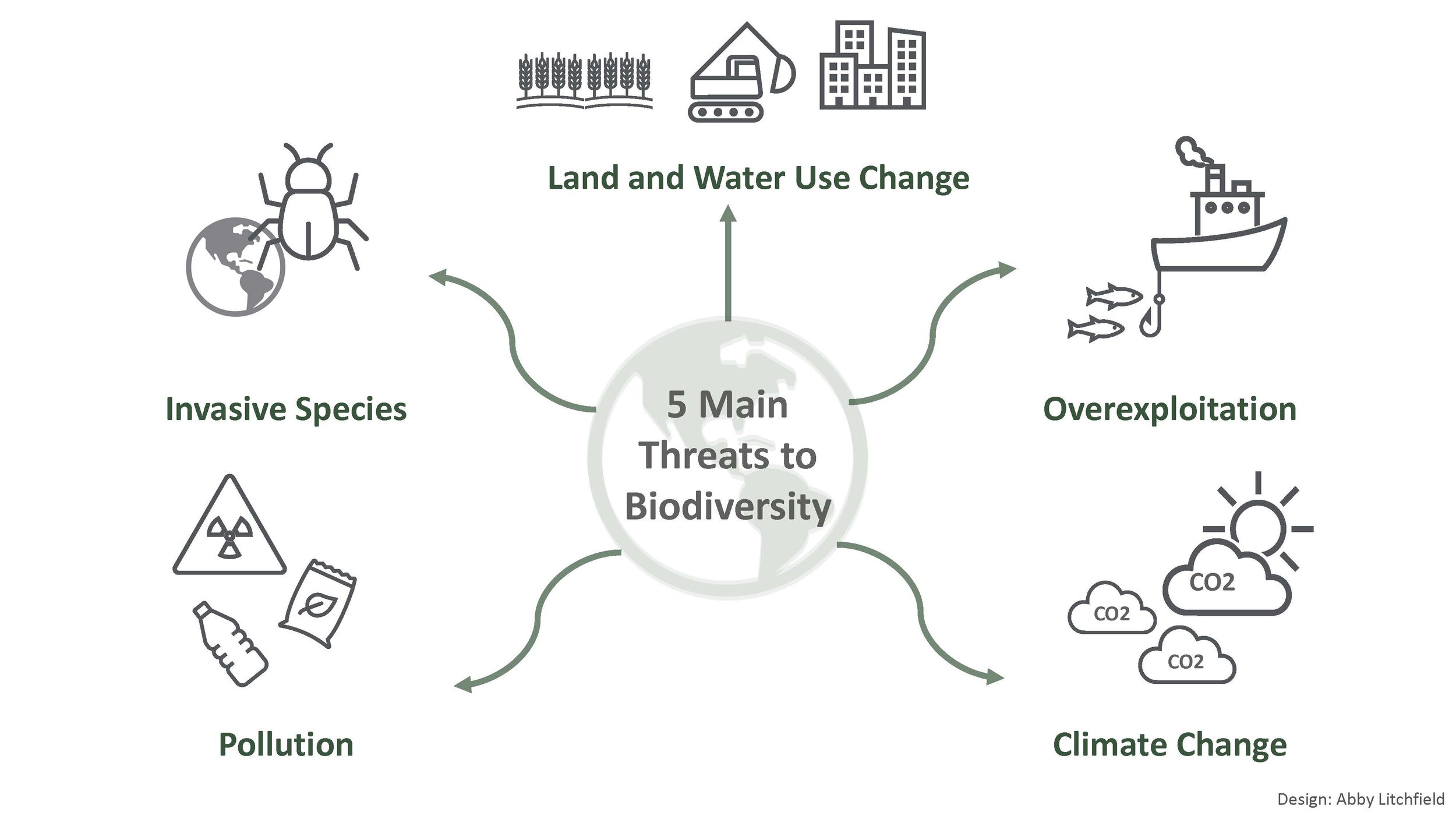 2 to does biodiversity form how contribute the economy Economic Benefits