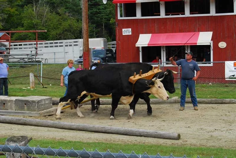 Track Events — The Bondville Fair
