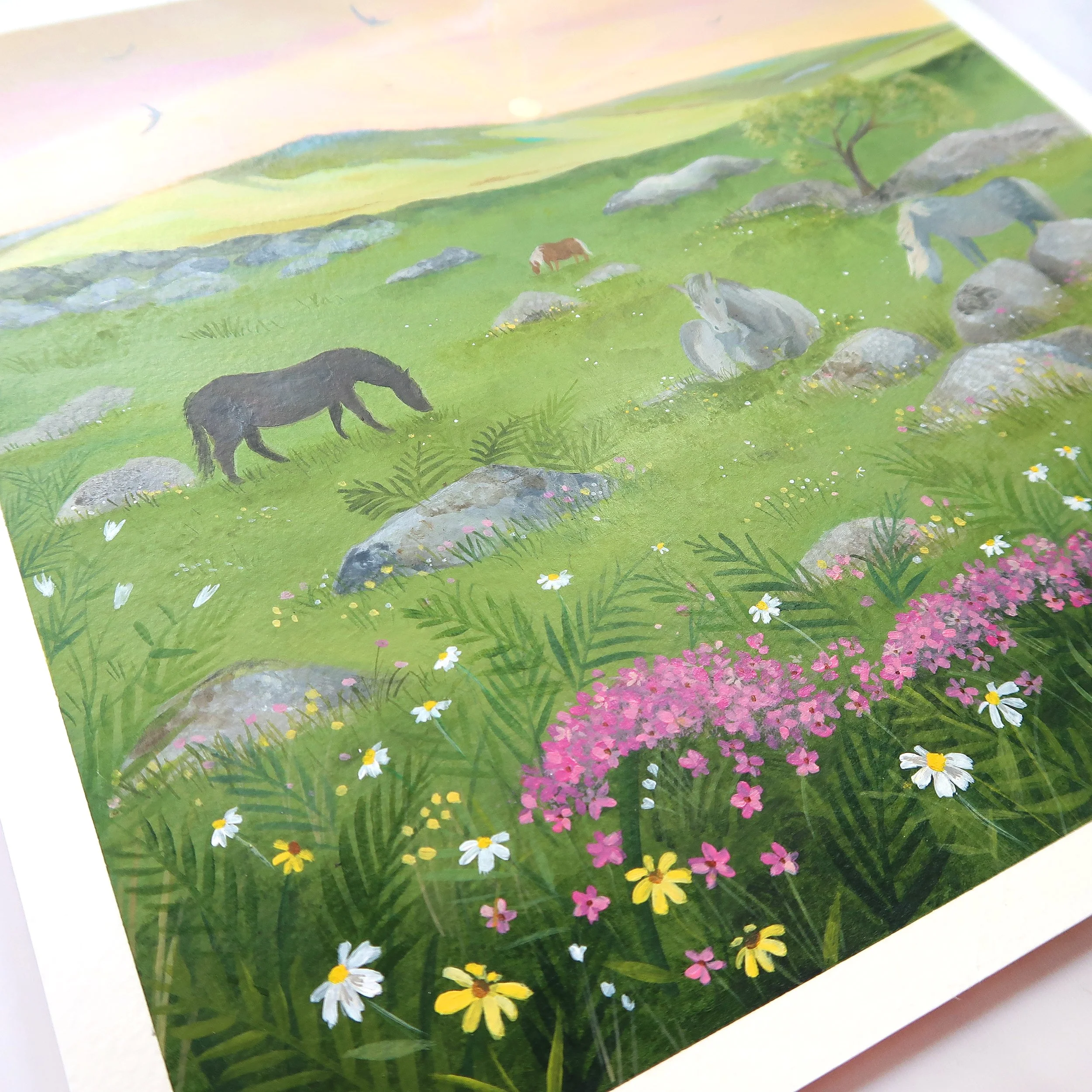 Moorland Dawn 2.jpg