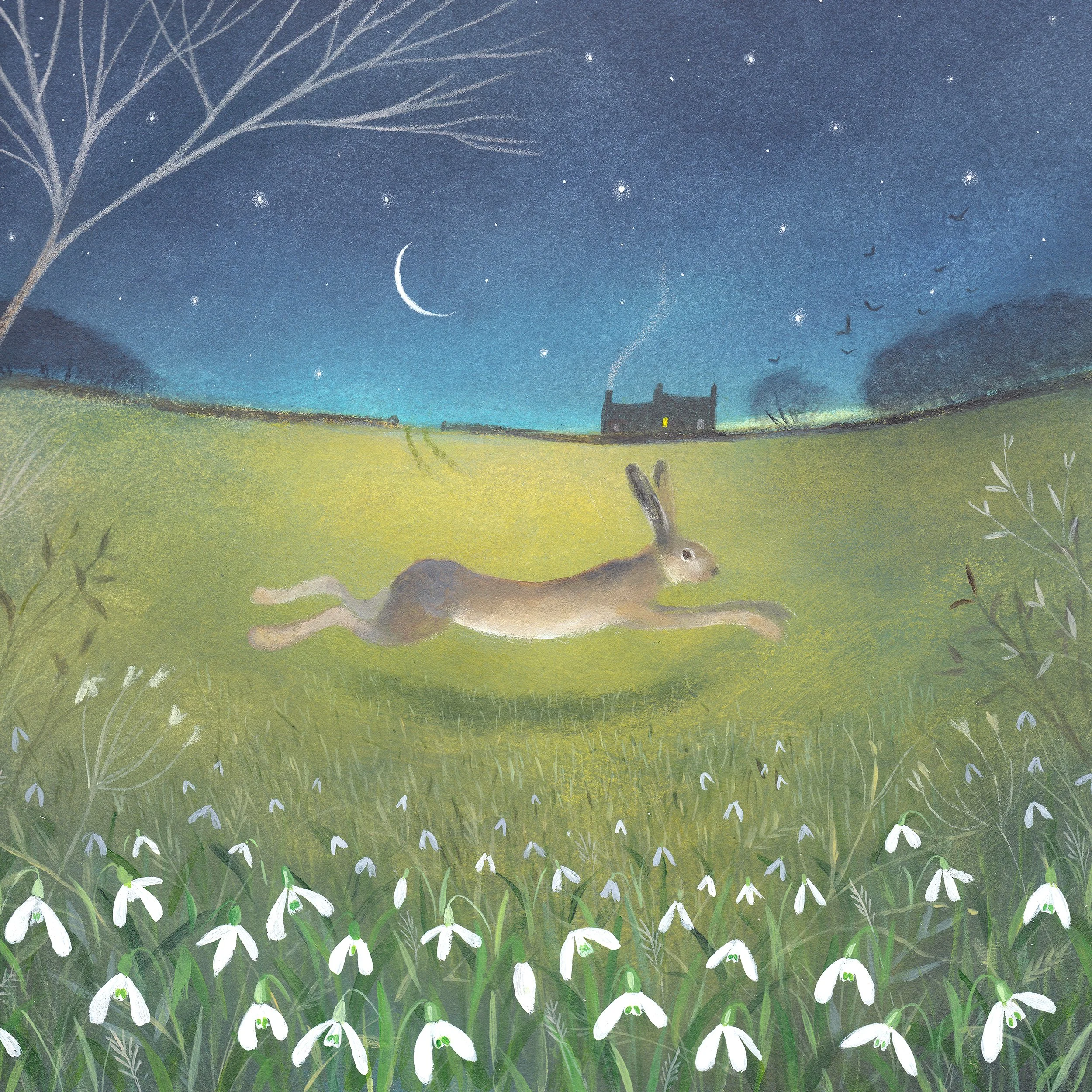 Snowdrops and Starlight 92dpi.jpg