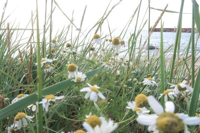 What I Learnt on my Summer Break