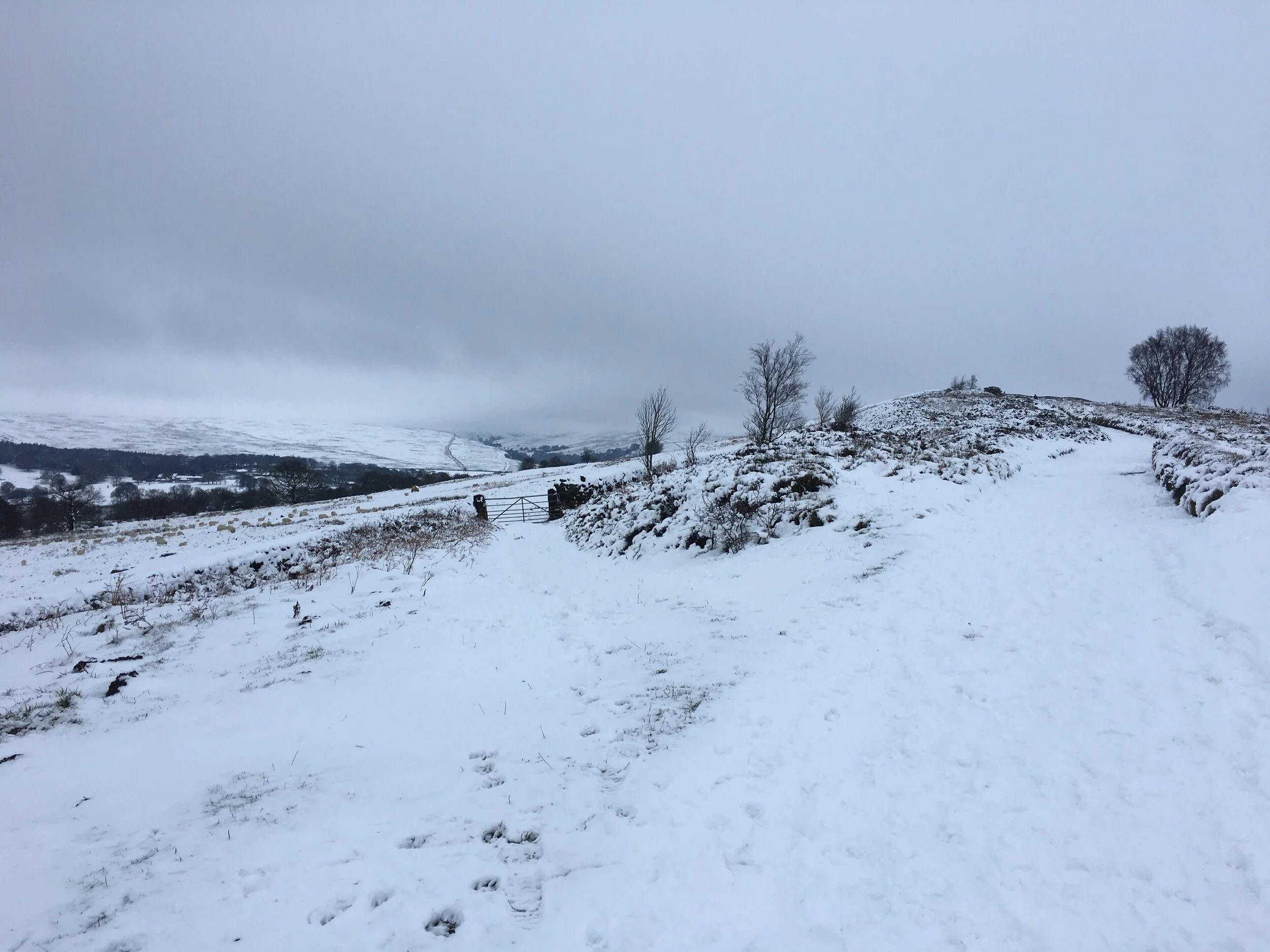 2020 - My Year in Review