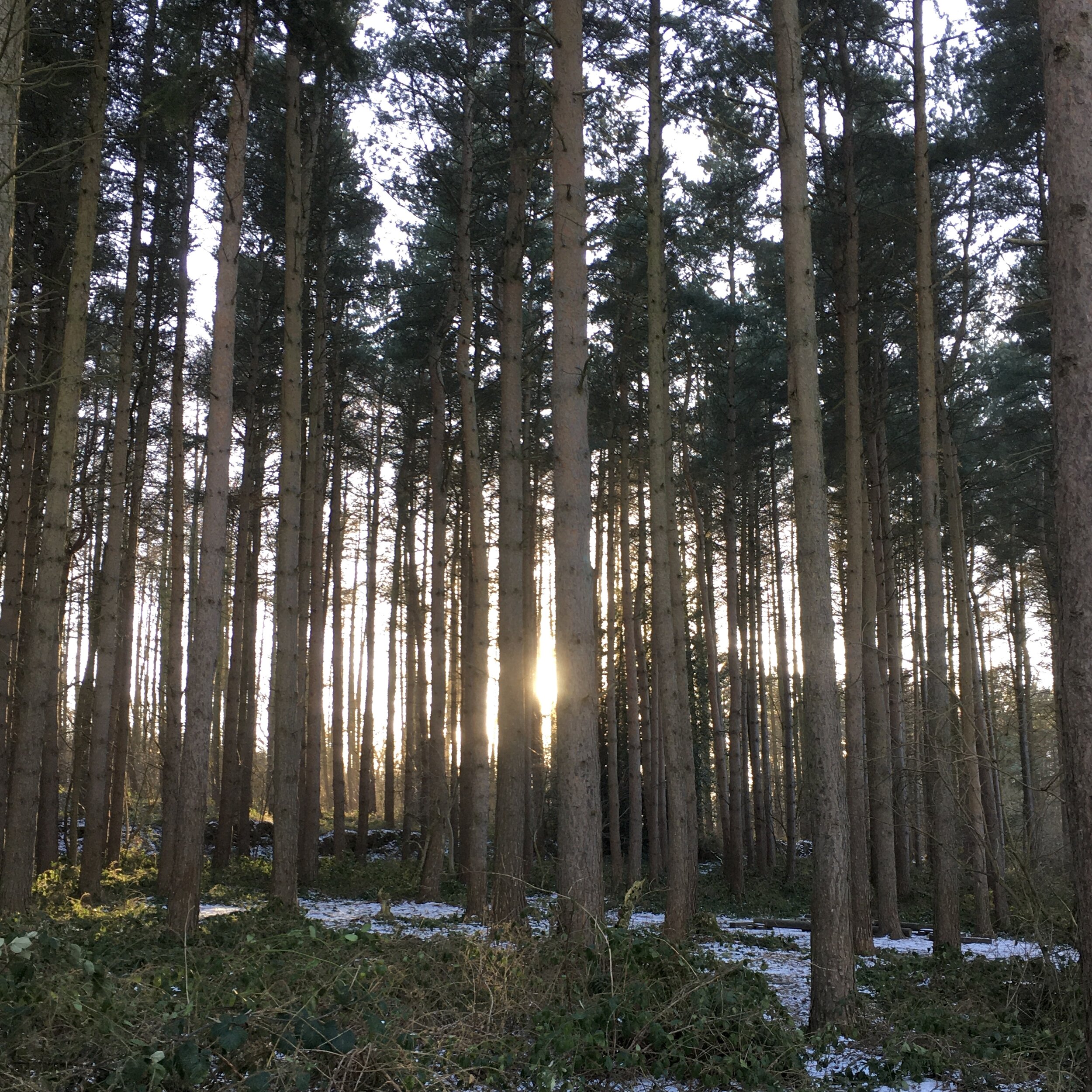 A Happiness prescription