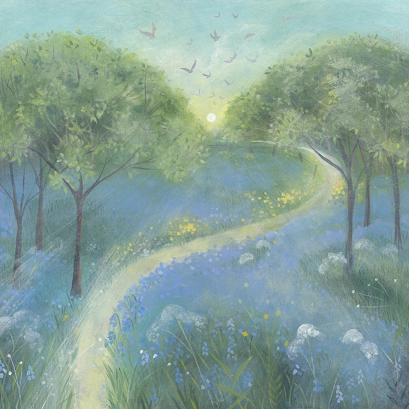 Sunrise Bluebells Greetings Card