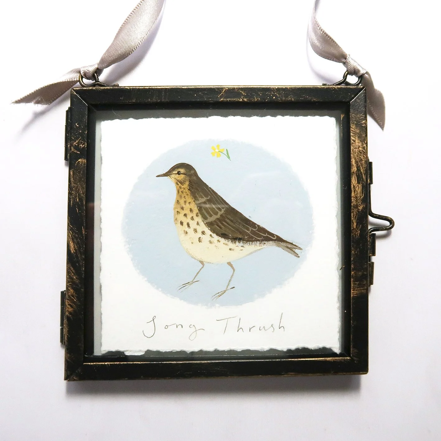 Song Thrush - original framed painting