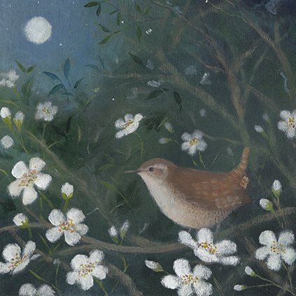 The Wren and the Moon small.jpg