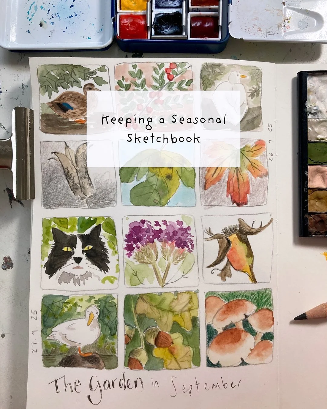 🍁 Keeping a seasonal sketchbook.

Sketchbooks are not only just a wonderful way to unwind and relax for me, they are also fabulous resource diaries that are influenced by the seasons.  This year I&rsquo;ve spent most of my time working in a Cara Car