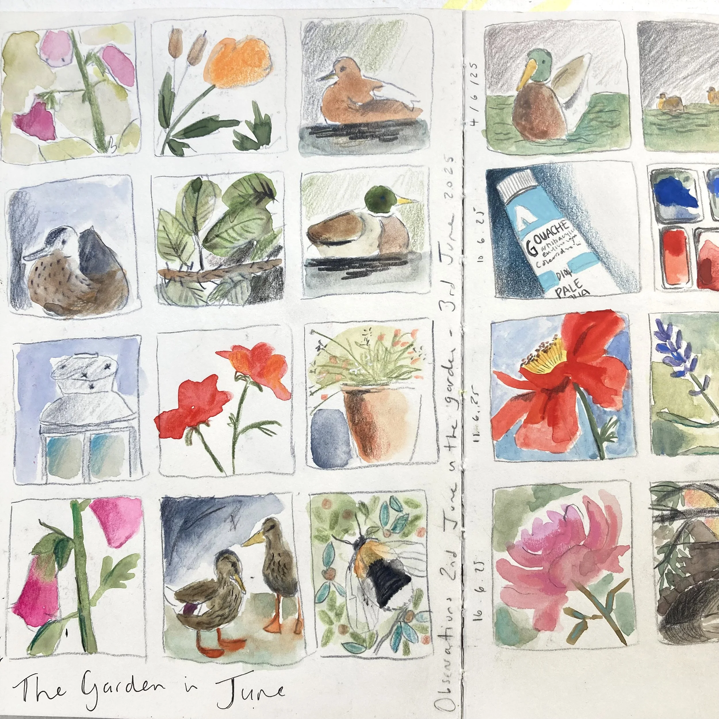 Sketchbook Squares.JPG