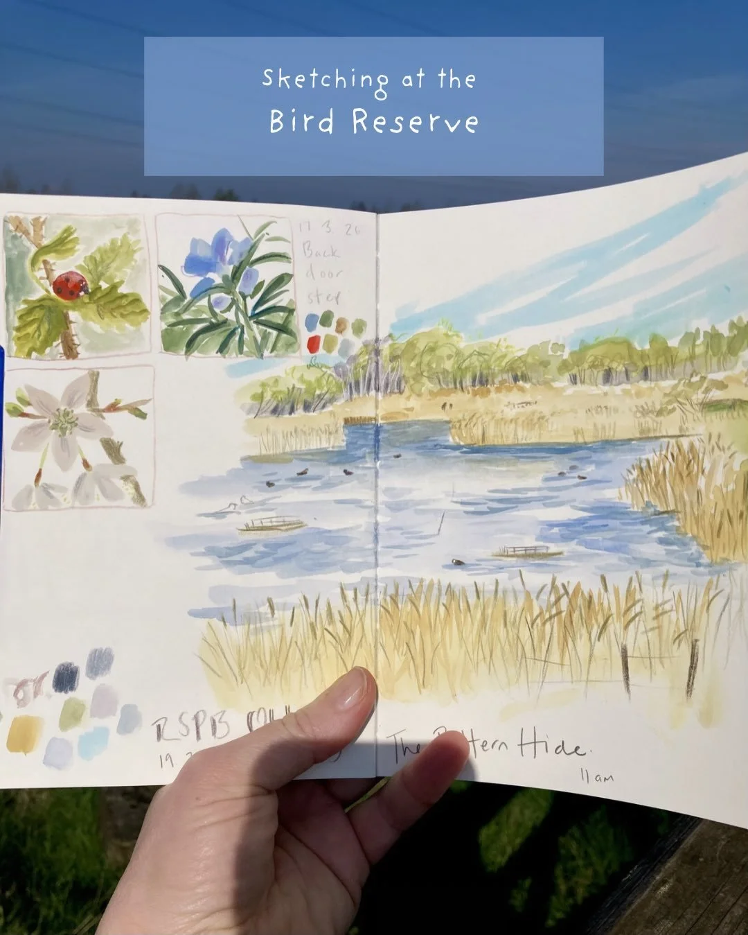 ☀️🌸🌿 After being struck down with a head cold last week, I was craving some fresh air so decided to visit our local @rspb_old_moor to do some drawing and watch the birds.

It&rsquo;s been a few years since I last visited and they&rsquo;ve worked re