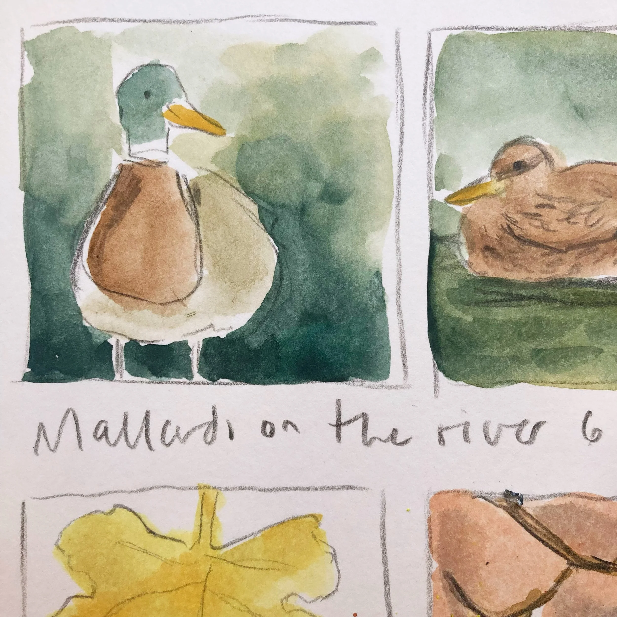 Five minute sketches, for busy days.

With a full work schedule I&rsquo;ve not had much time to use my sketchbook recently.  I usually like gathering all my materials and drawing for a nice relaxing hour or so, but just now it&rsquo;s not possible.

