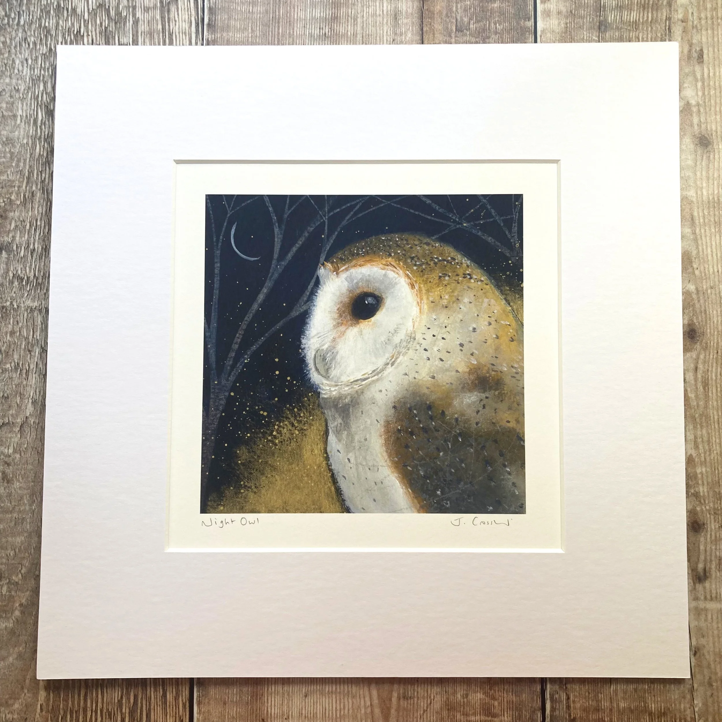 Night Owl Mounted Print Julia Crossland.jpg