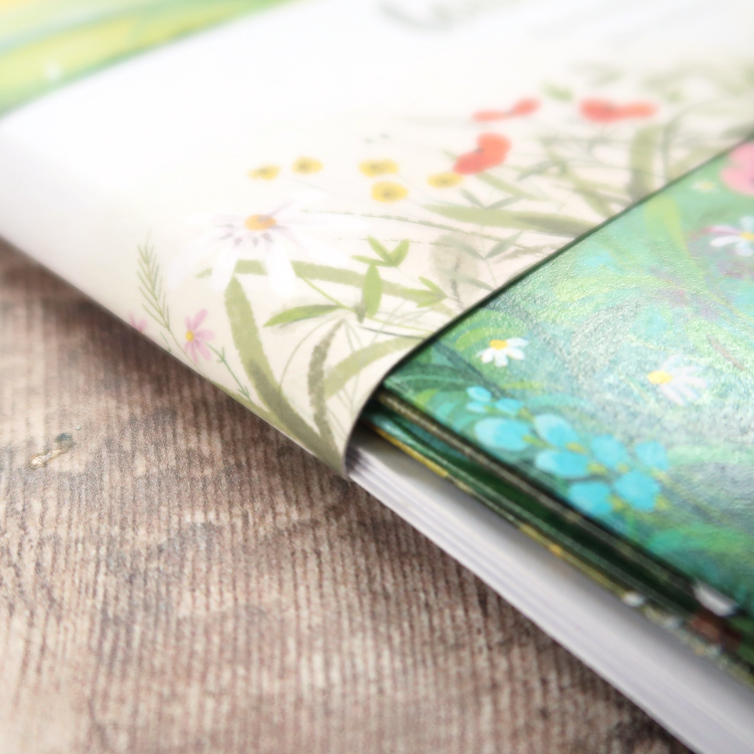 Countryside cards side view.jpg