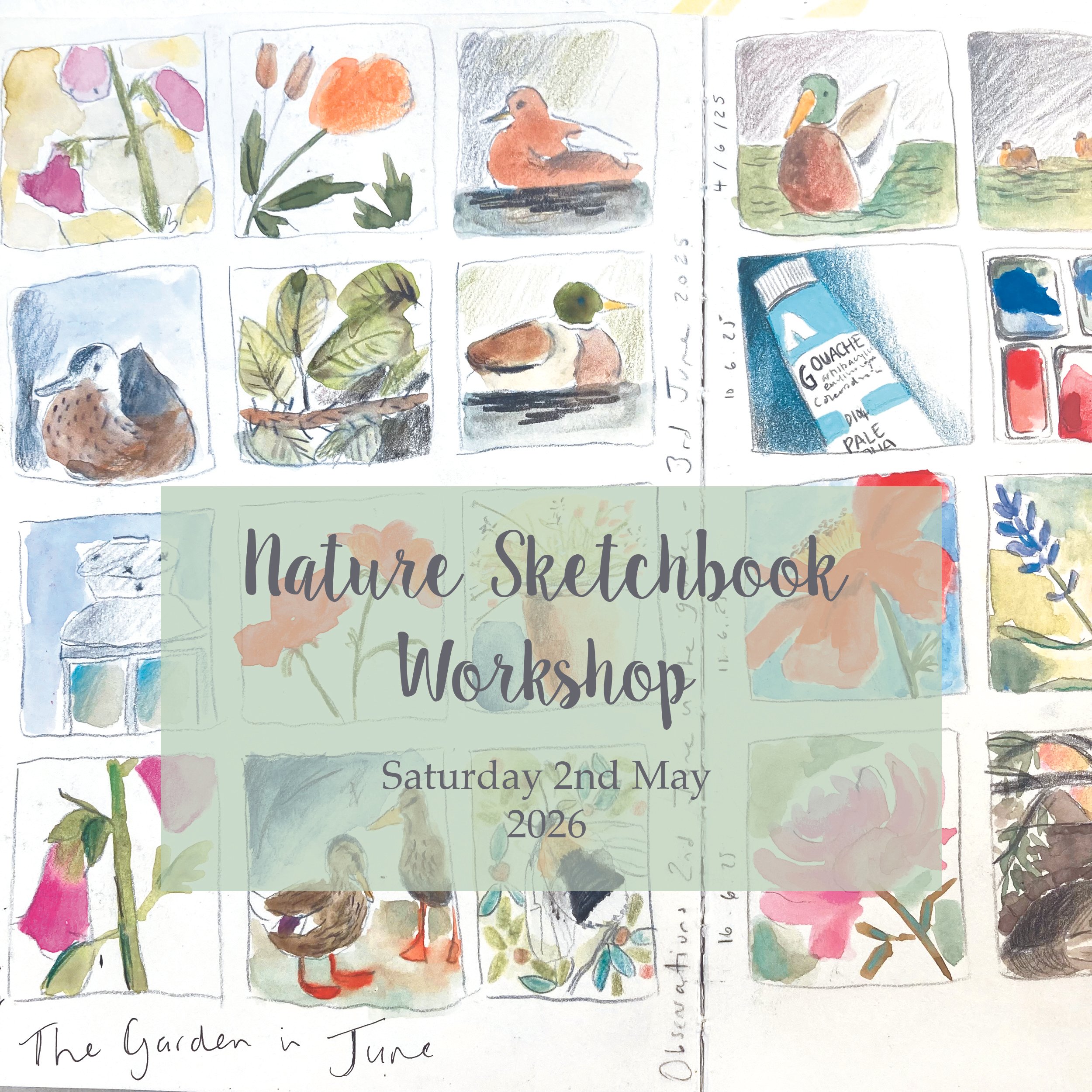 Nature Sketchbook Workshop Banner Sq.jpg