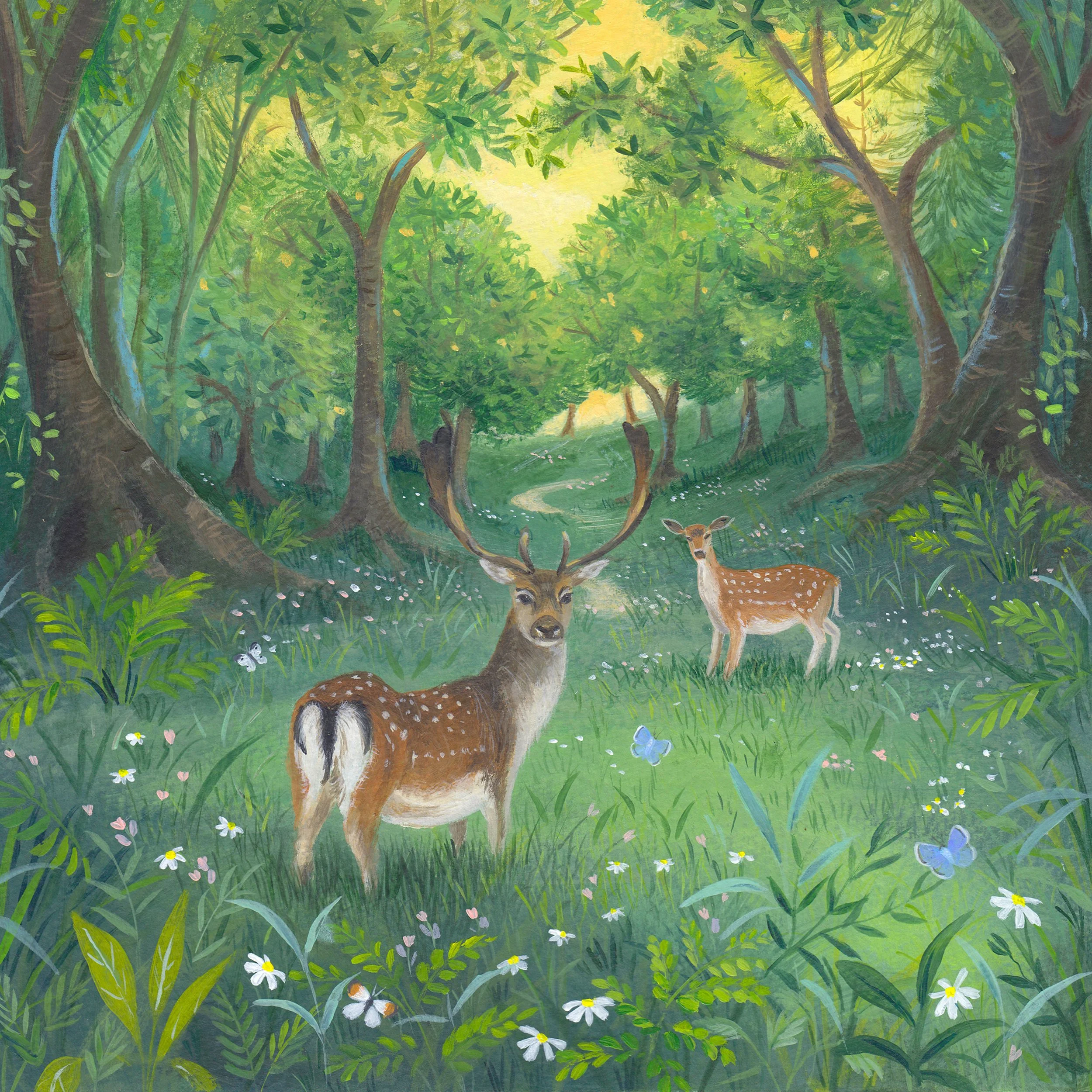 Forest Glade 92dpi.jpg