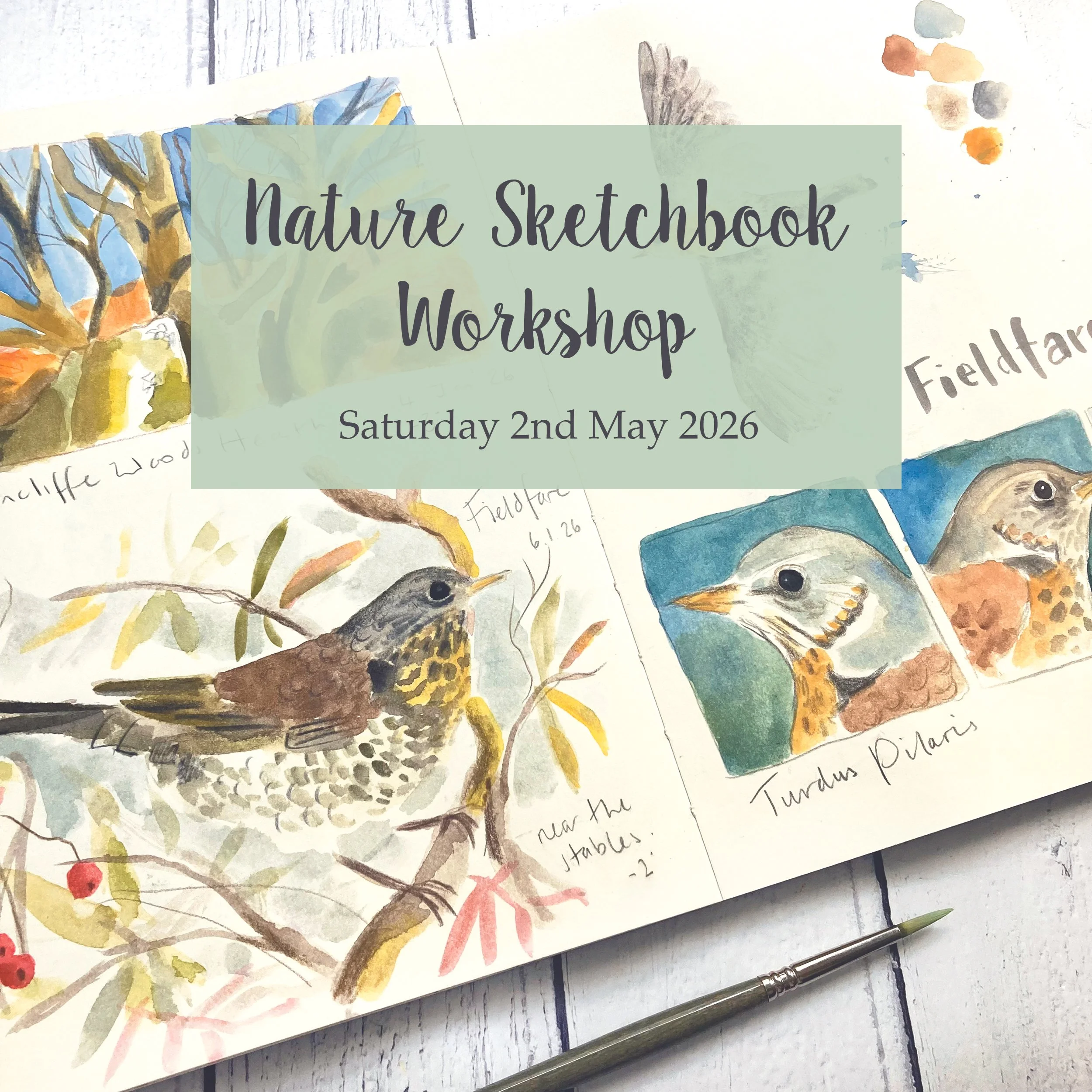 Nature Sketchbook Workshop Banner 2 Sq.jpg