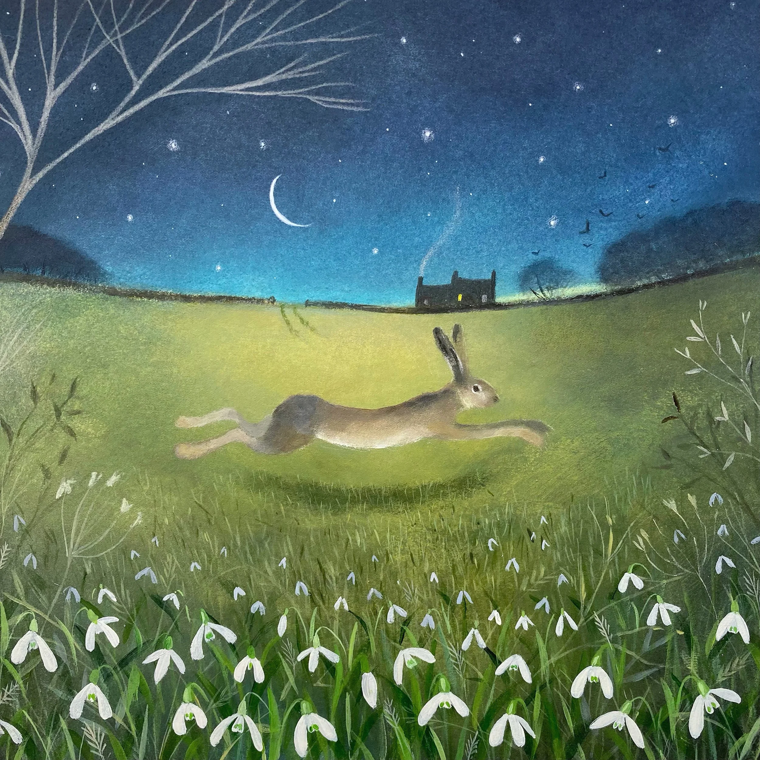 Starlight and Snowdrops.JPG