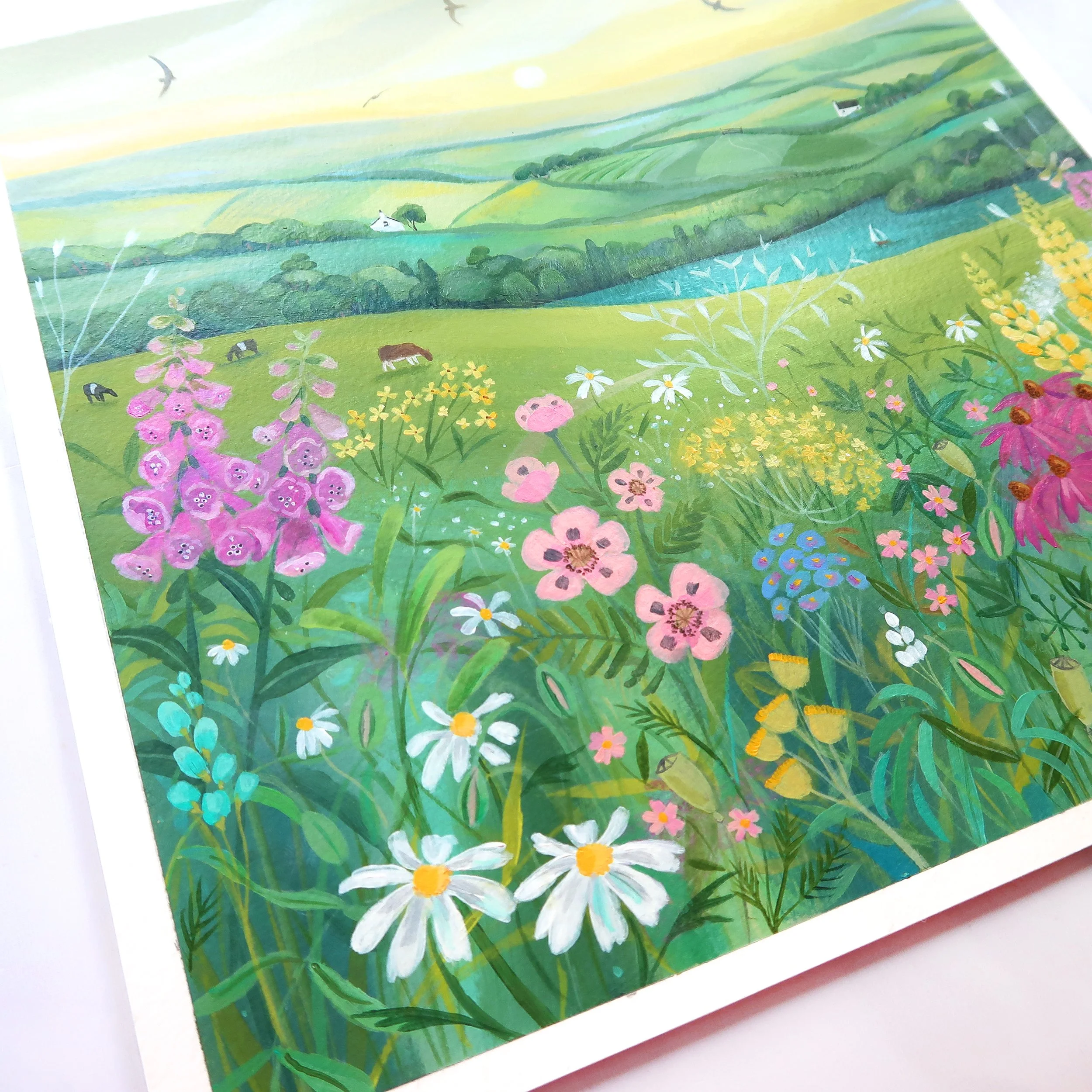Morning Light 2.jpg