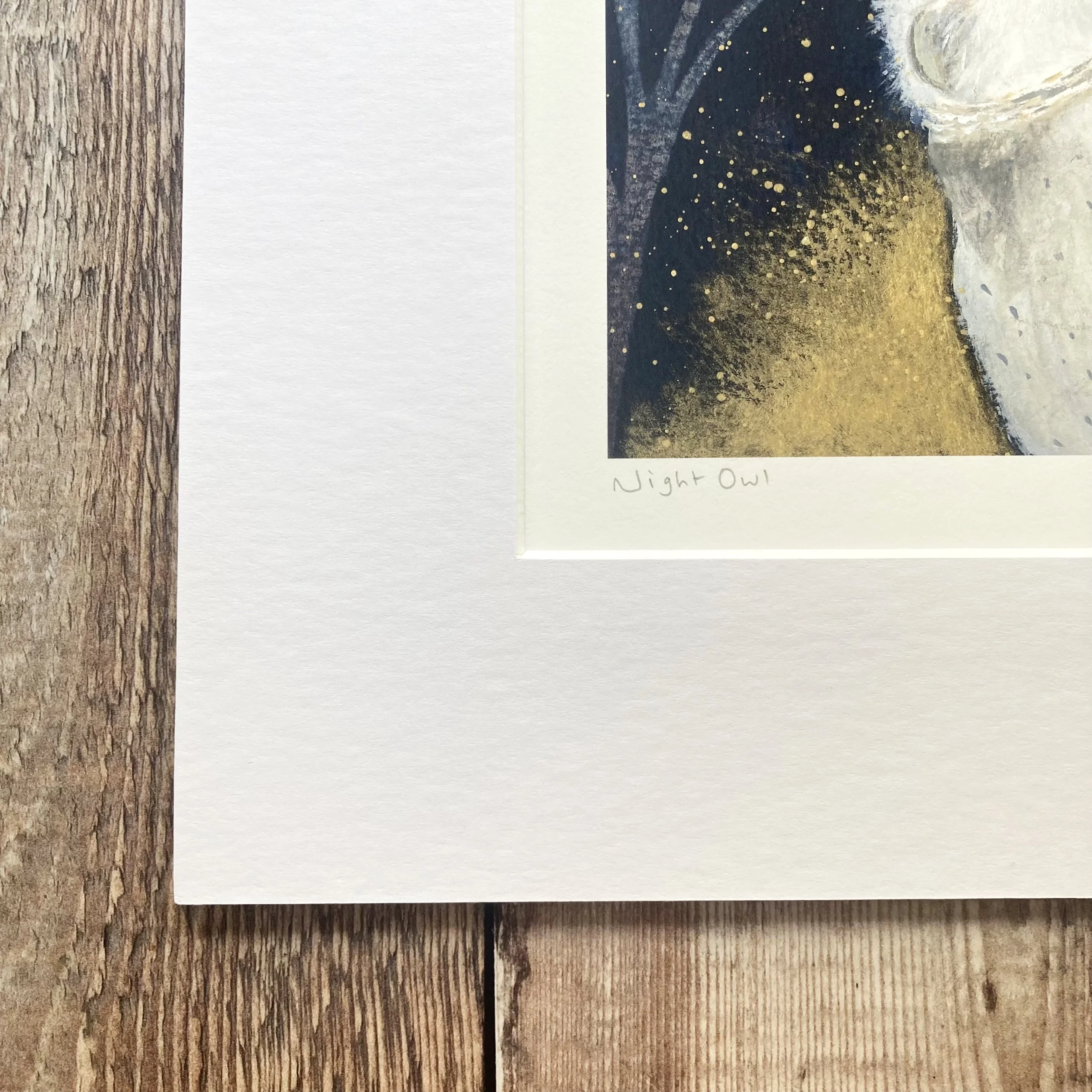 Night Owl Mounted Print Corner Julia Crossland.jpg