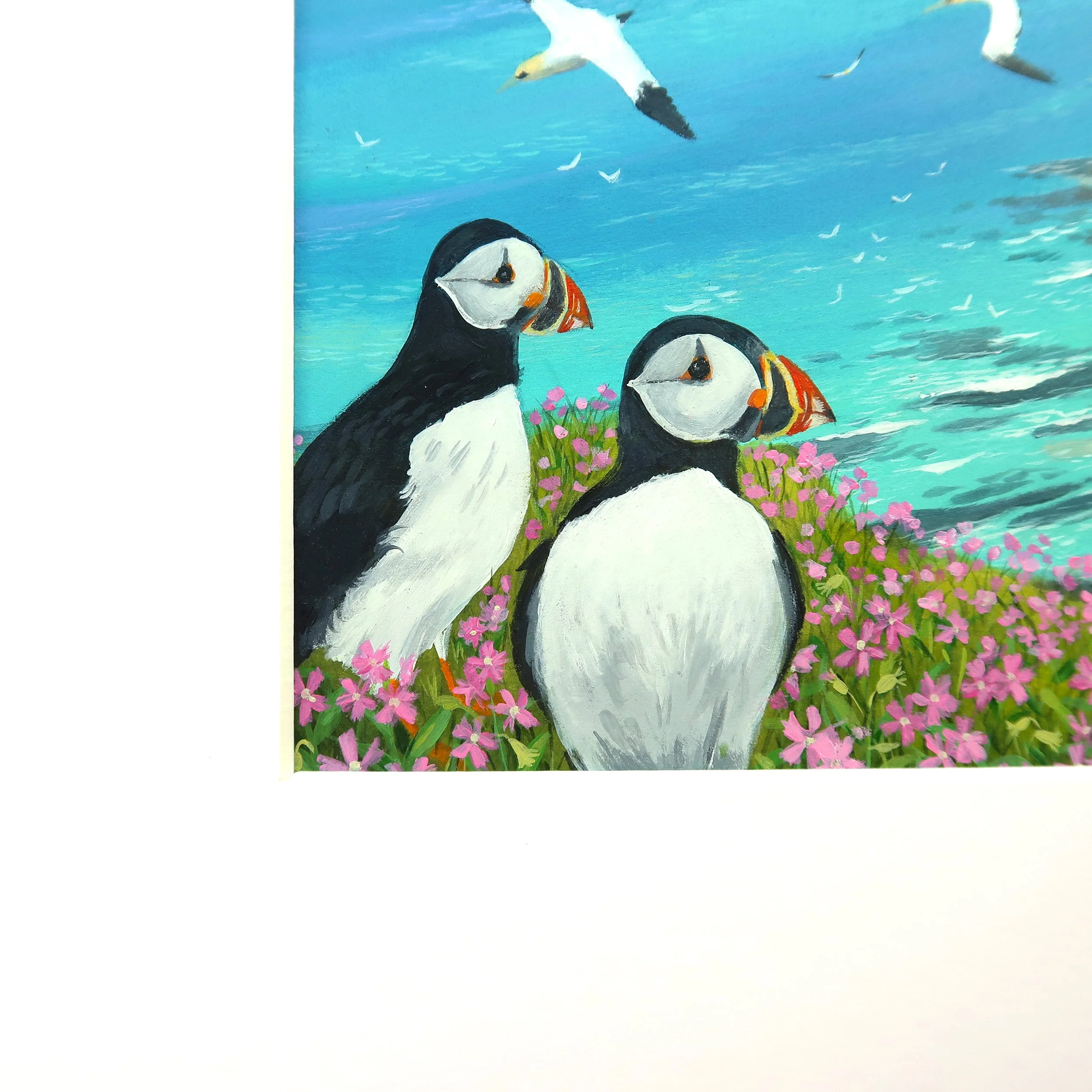 Summer on the Cliffs corner.jpg