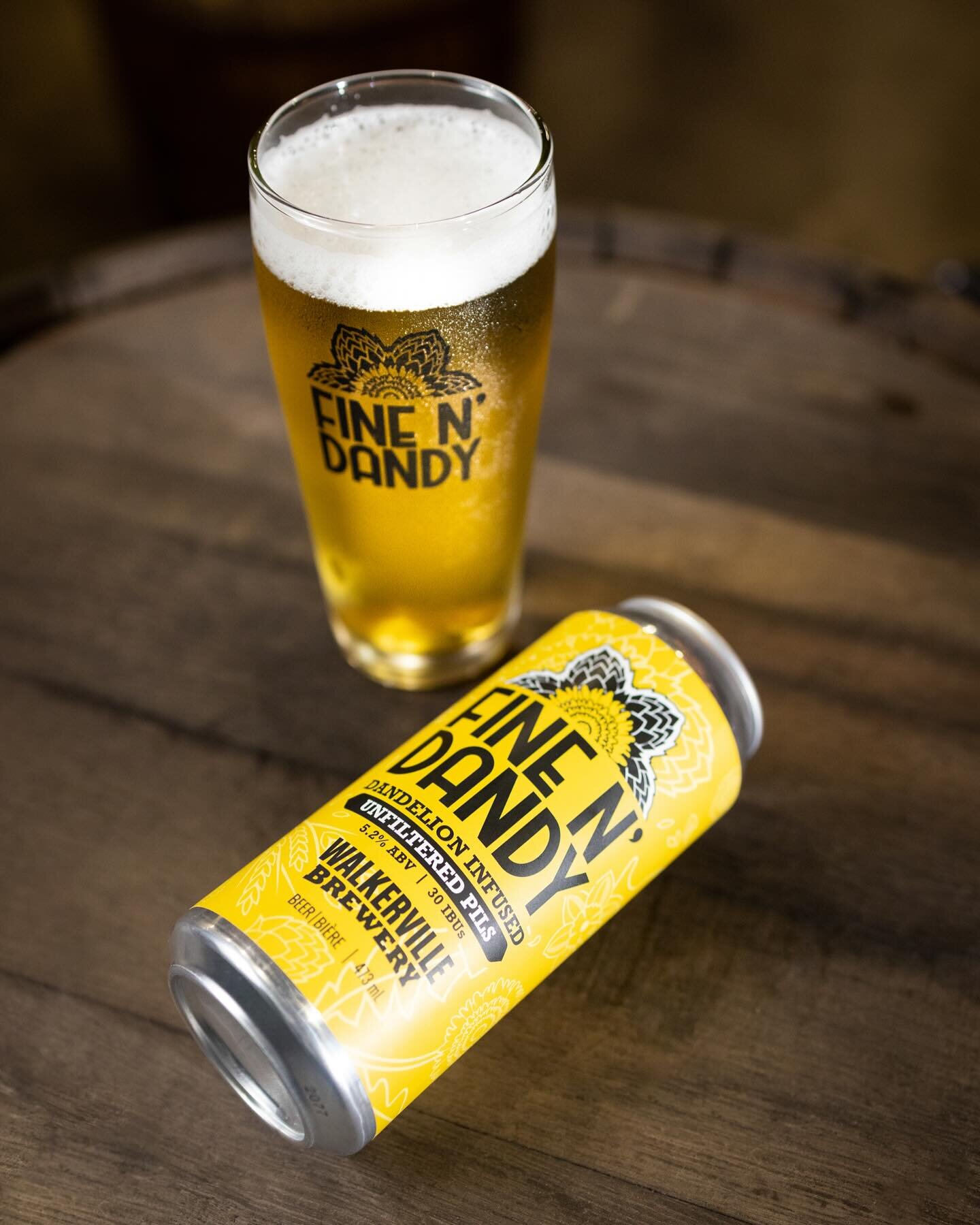 It&rsquo;s officially FINE N&rsquo; DANDY MONTH! 💛

Which means&hellip;Fine N&rsquo; Dandy Dandelion Infused Unfiltered Pils is back at the brewery &ndash; available on tap + in cans to-go!

Fine N&rsquo; Dandy is a smooth drinking German-style pils