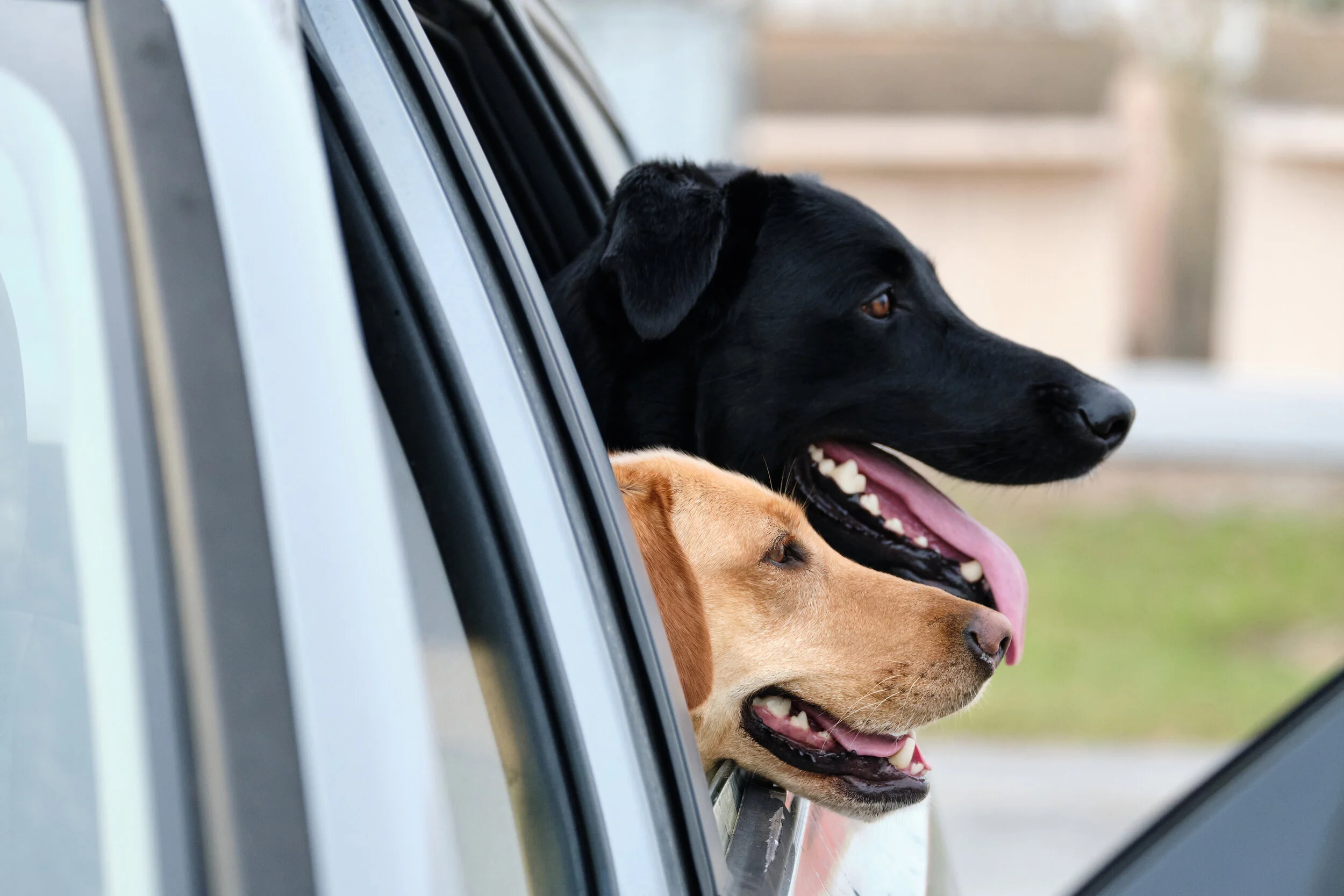 Friends Paul Dahm Photography Design